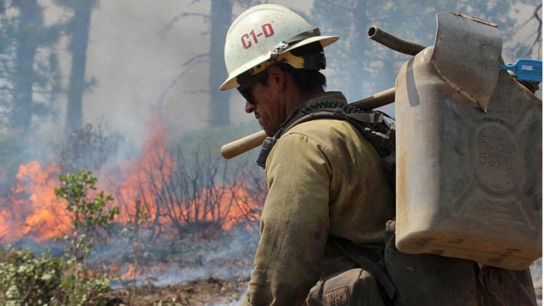 Aug. 30, 2013: A member of the Monterey Hotshots carries a gas can near a burn operation on the southern flank of the Rim Fire near Yosemite National Park in California.