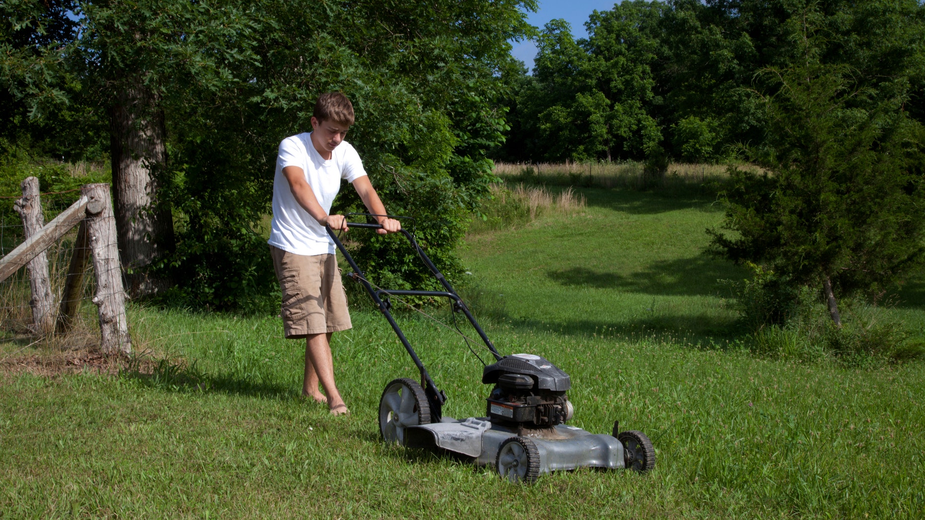 Make your life easier, and give that lawn mower a rest.