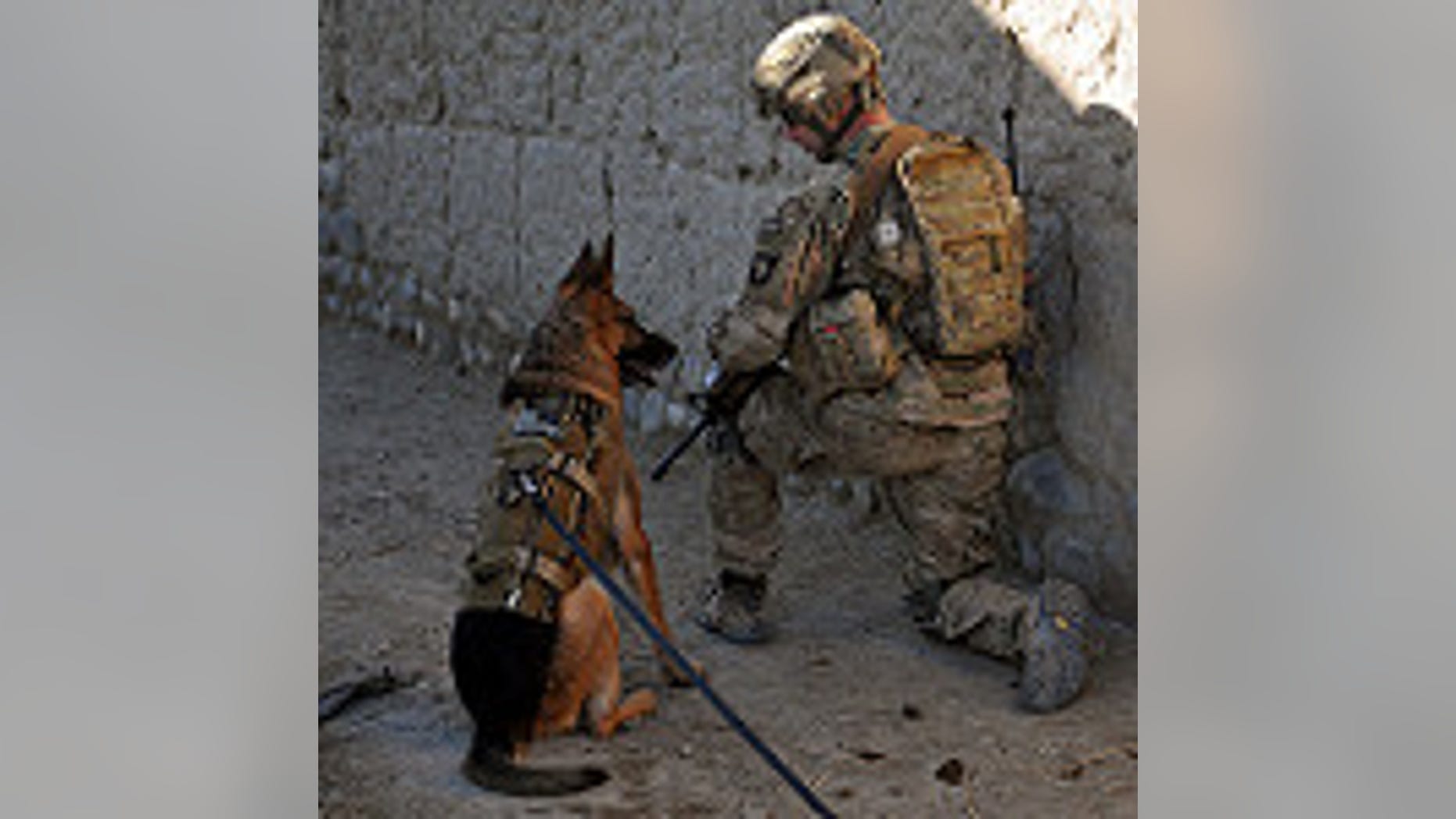 U.S. Army 1st Sgt. Brian Zamiska, 3rd Battalion, 187th Infantry Regiment, 3rd Brigade Combat Team, 101st Airborne Division (Air Assault), pulls security with a U.S. Air Force working dog, Jan. 6, 2013, during a patrol with the Afghan Border Police in Tera Zeyi district, Afghanistan. (U.S. Army photo by Spc. Alex Kirk Amen)