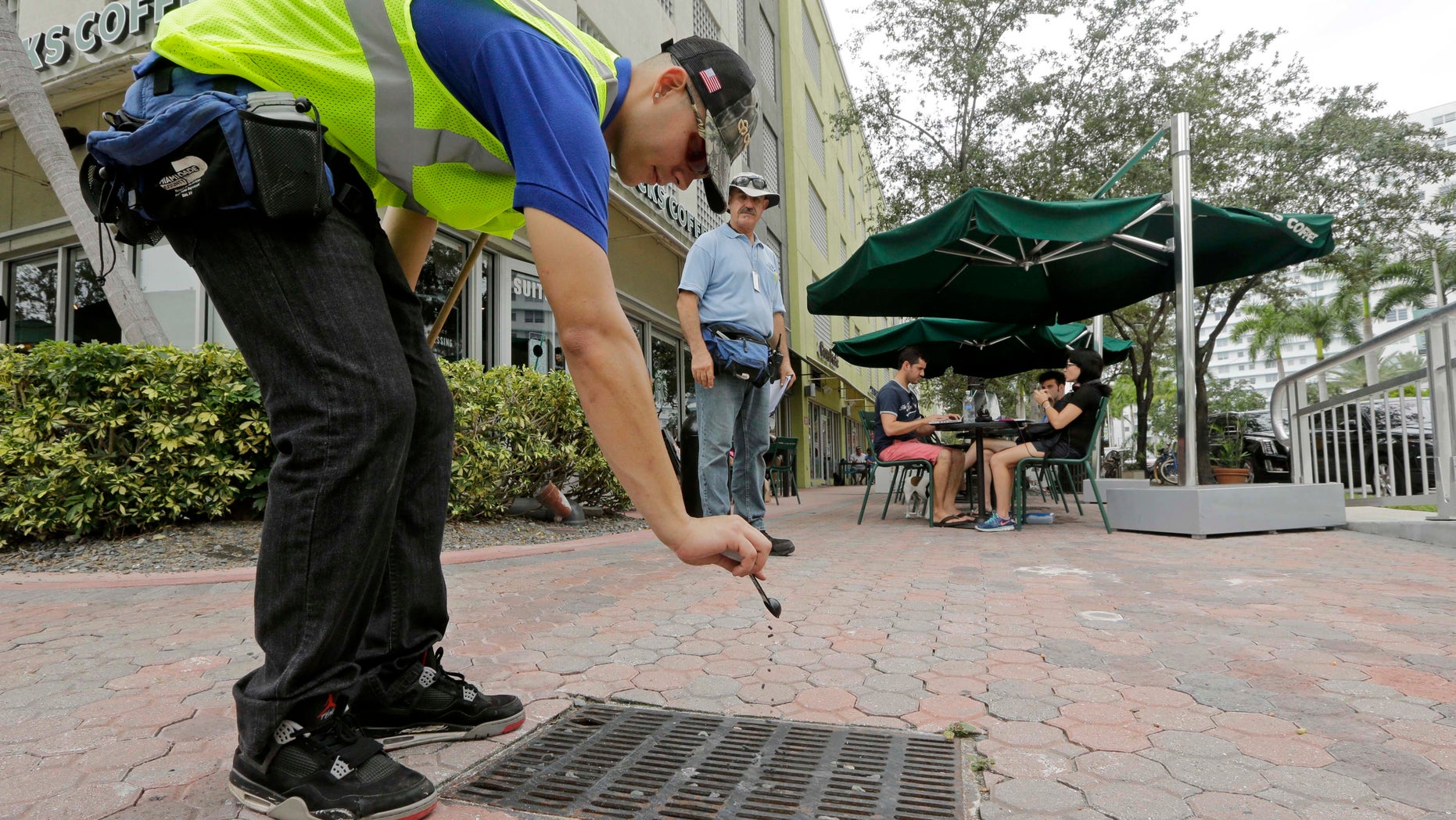 Miami-Dade mosquito control contractor Alejandro Espinosa pours chemicals into a storm sewer on a sidewalk, Friday, Sept. 2, 2016, in Miami Beach, Fla.