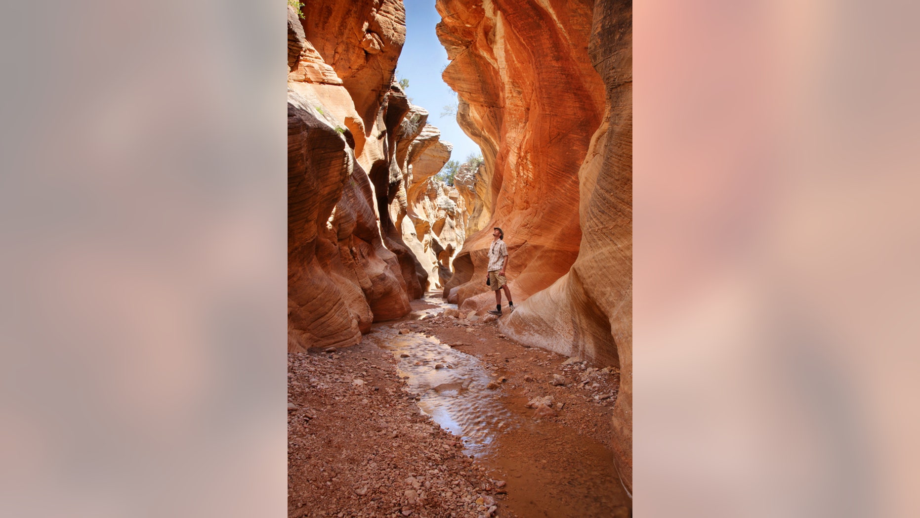 Too many tourists has led to overcrowding in Zion.