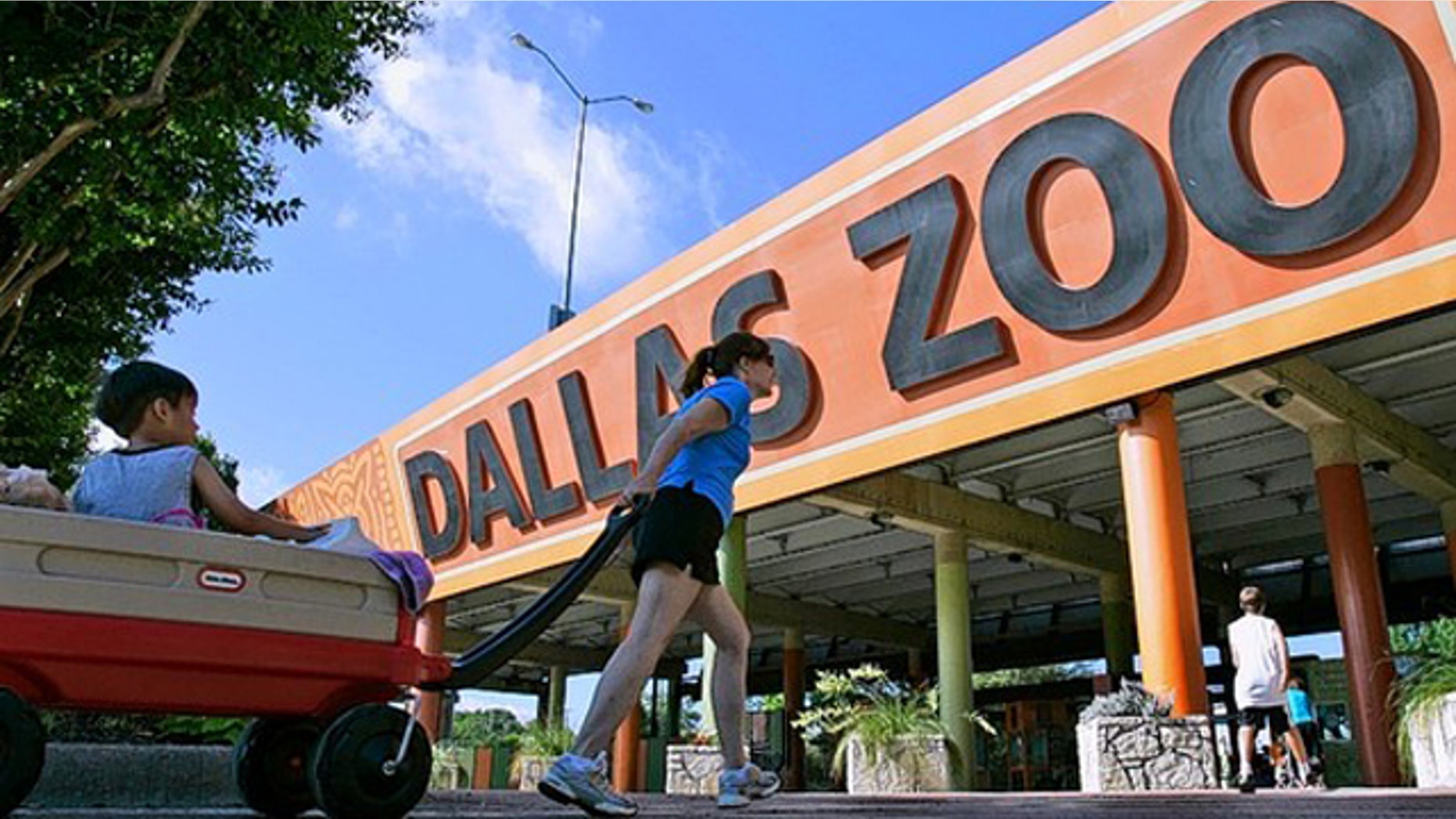 Dallas privatized the operation of its zoo, shown here. (AP Photo)