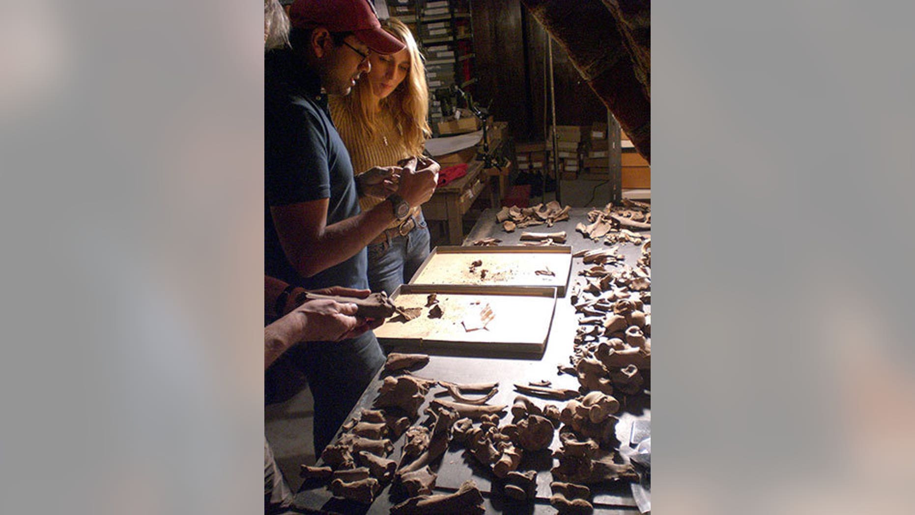 Stanford Assistant Professor Krish Seetah and Reading University student Rose Calis analyze animal bones in the basement of Riga Castle, Latvia.