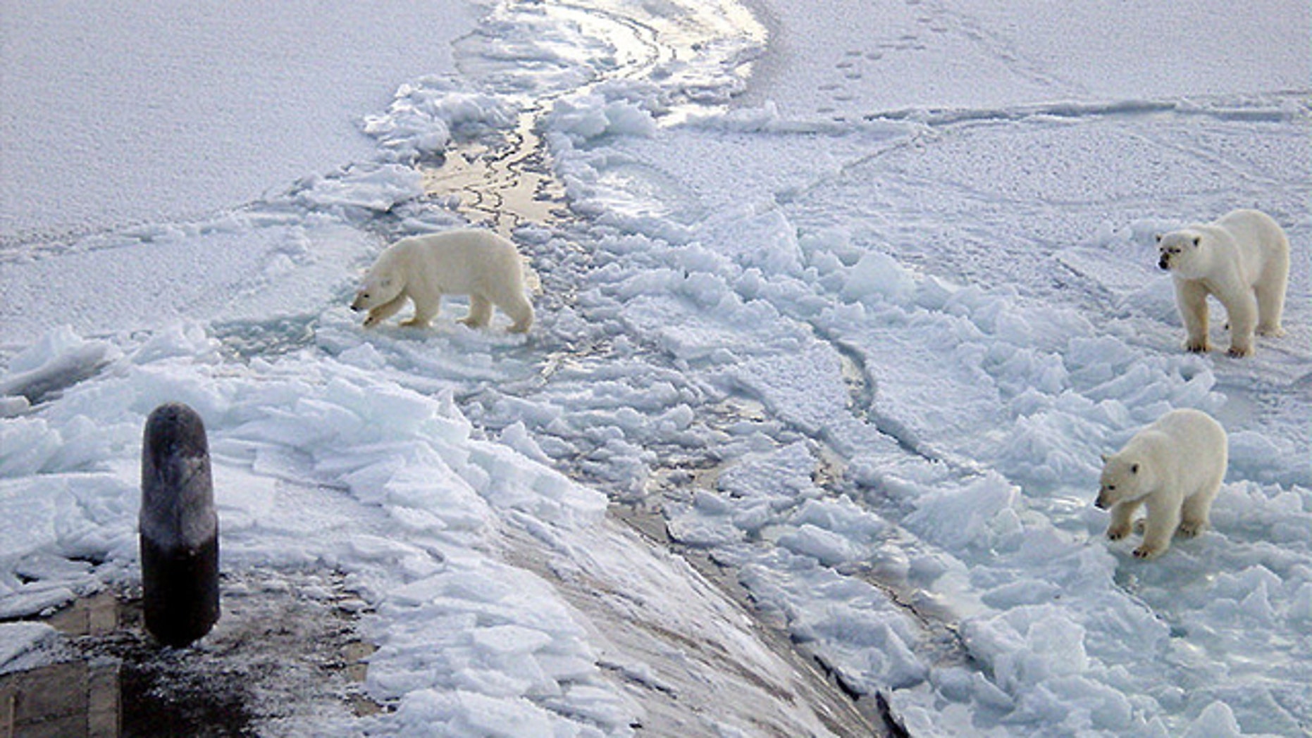 Arctic scientist in global warming row retires as part of settlement