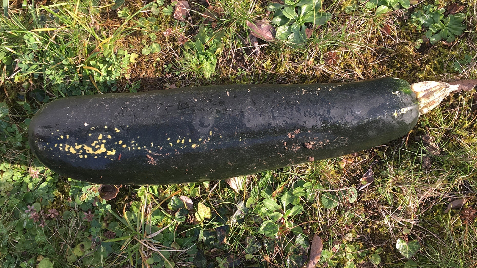 A German man found a dark object in his garden and mistook it for a WWII bomb.