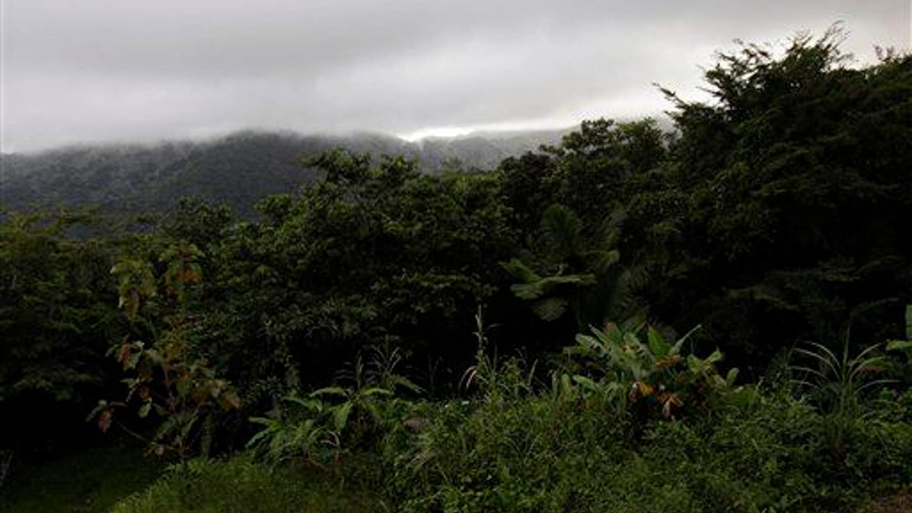 A dense cloud covers the top of El Yunque mountain in Puerto Rico.