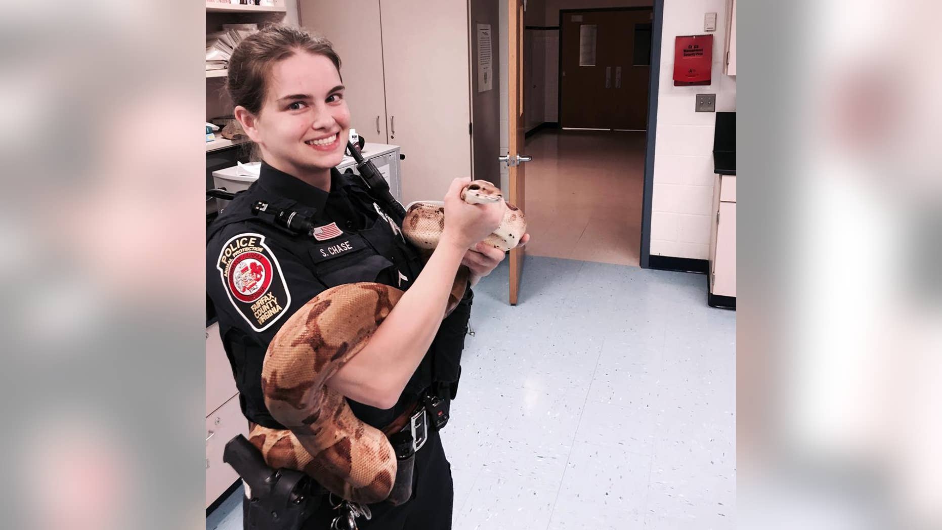 Animal Protection Officer Siobhan Chase was called to Hayfield High School to capture a snake that escaped the science lab.