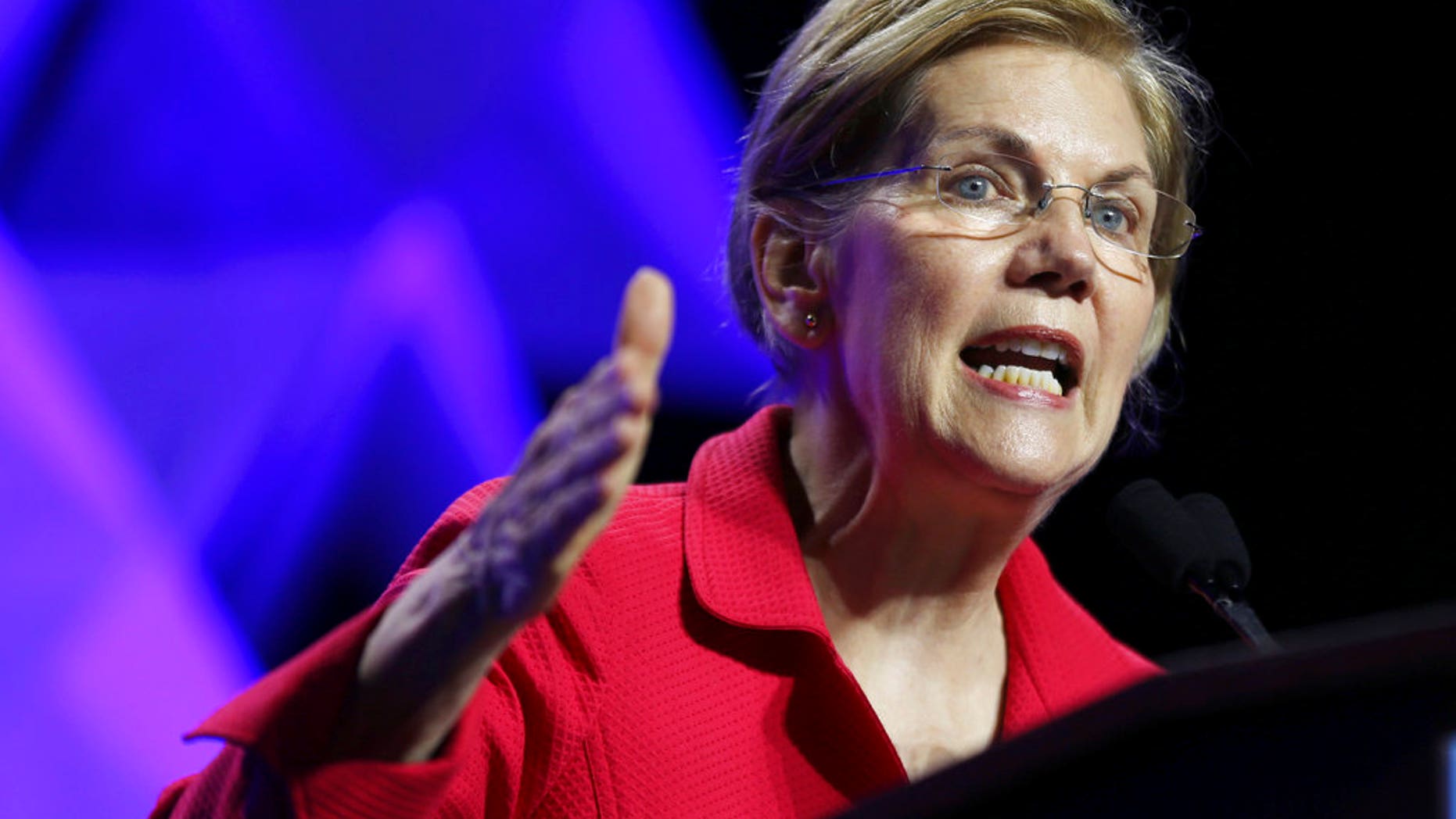 FILE - Sen. Elizabeth Warren, D-Mass. (AP Photo / Elise Amendola)