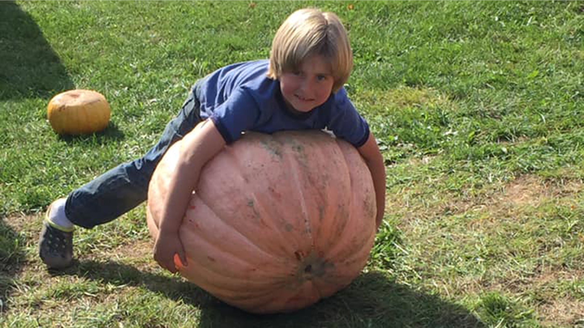 Ian decided to sell pumpkins to raise money for a diabetic dog