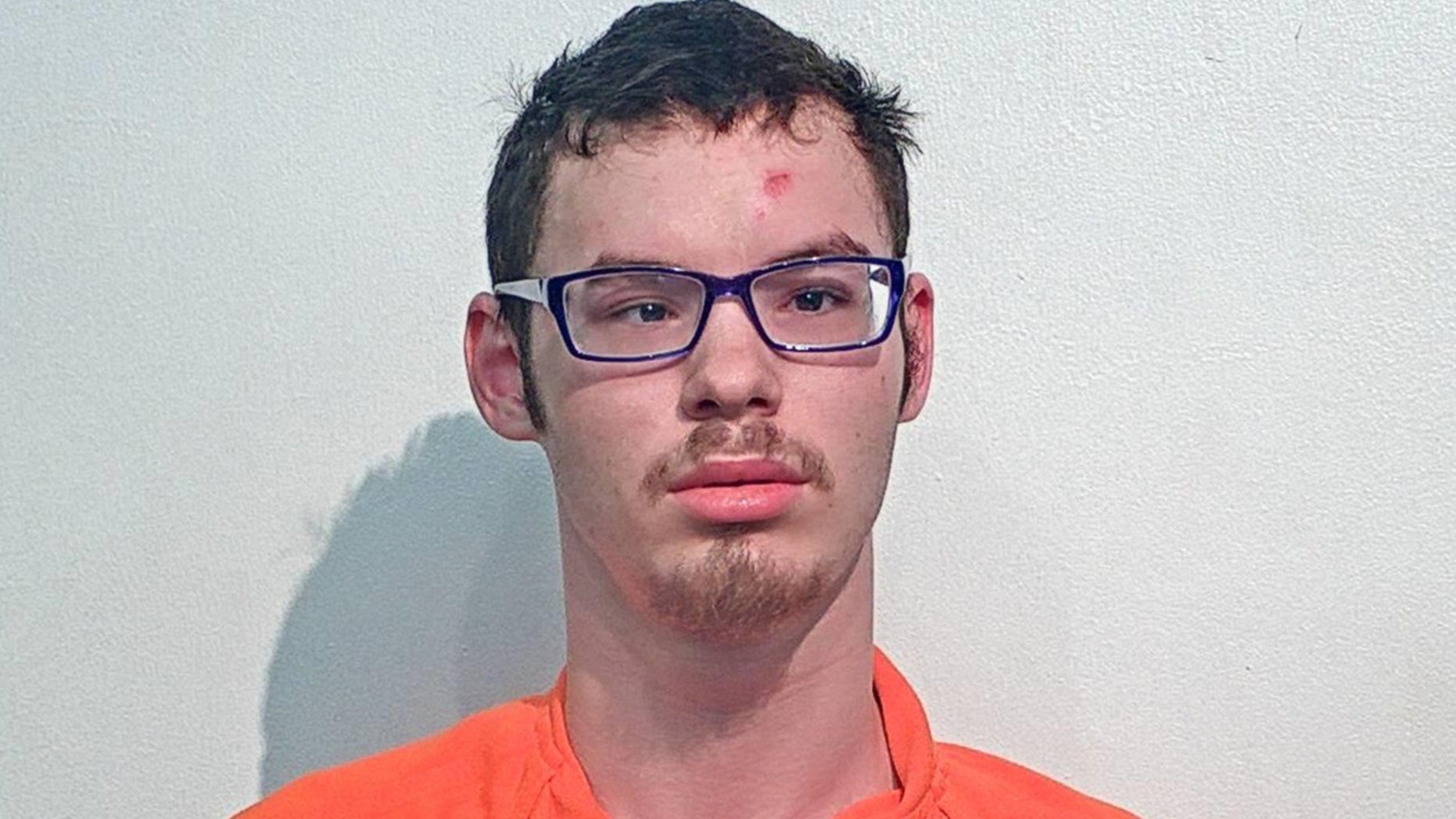 Alexander Nathan Barter, 21, allegedly posted on the dark web looking for a young girl to kill and eat.