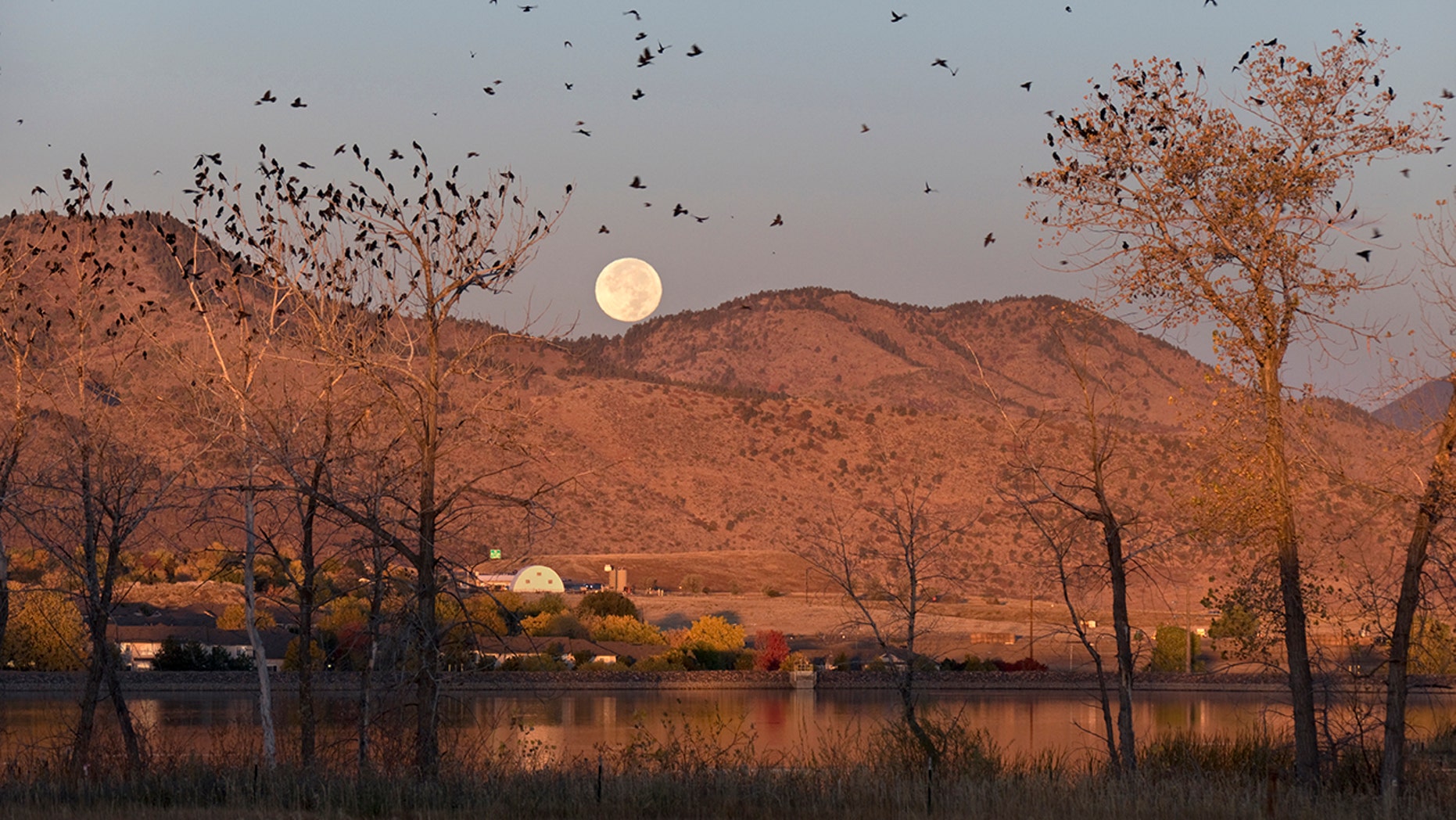 Hunter's Moon to glow in October sky Everything you need to know Fox