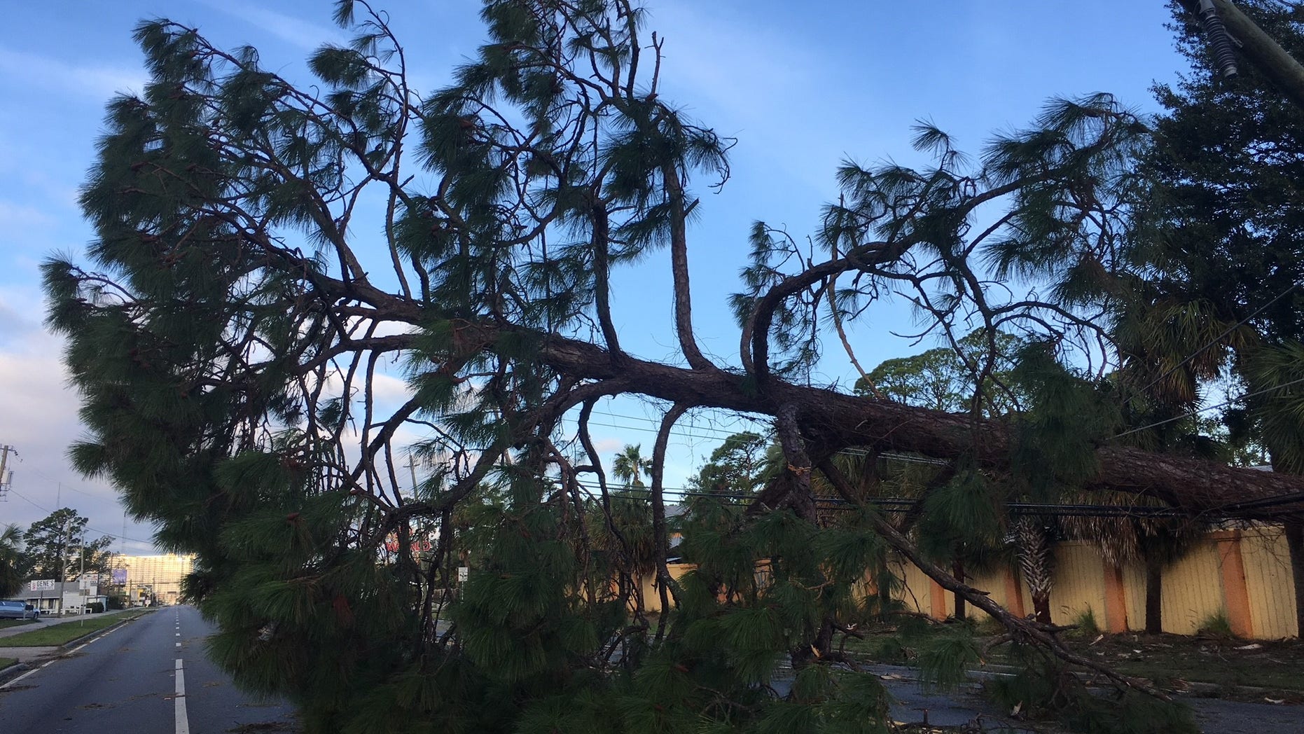 In the wake of Hurricane Michael, people are left wondering: If a neighbor's tree falls on your property, who is responsible?
