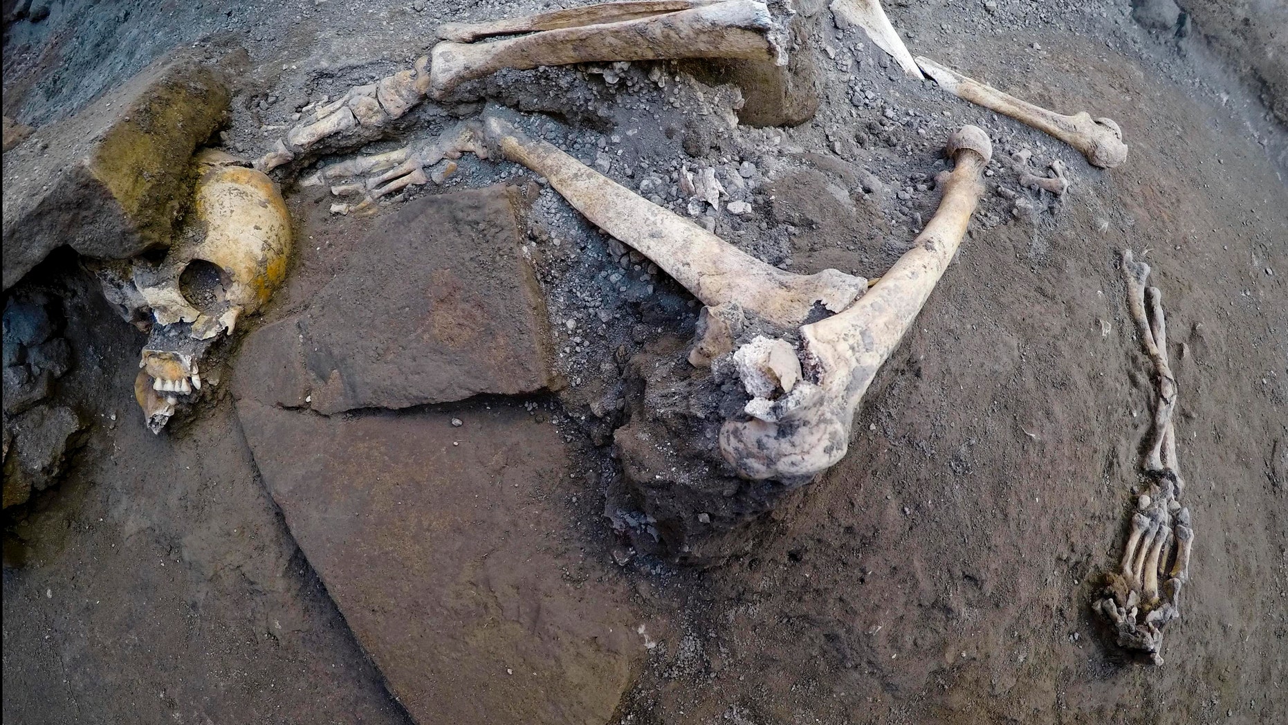 Remains of skeletons found on October 24, 2018 in the archaeological site of Pompeii in Italy. (Ciro Fusco / ANSA via AP)