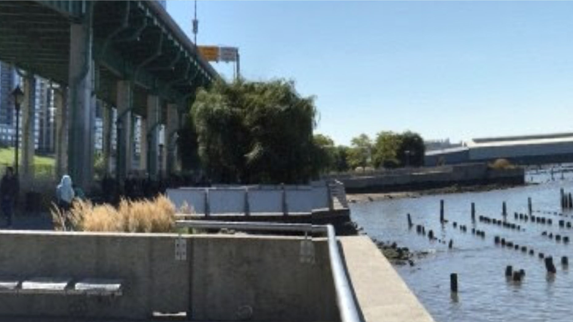 The discovery of two female bodies washed ashore from the Hudson River in New York City has prompted a police investigation. <br data-cke-eol="1">