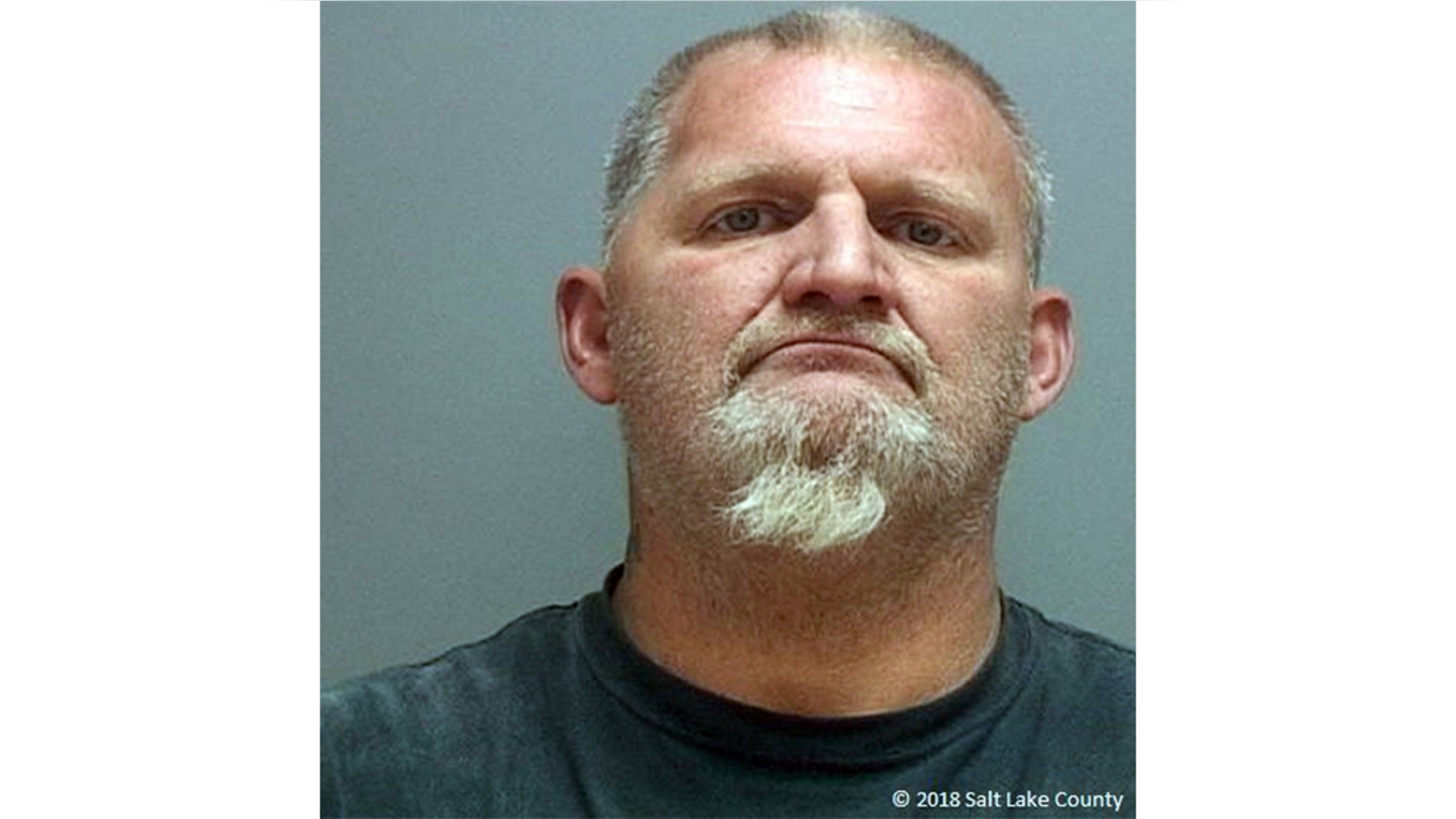Stanley Jocelyn, 50, allegedly beat the dog with a hammer following the incident.