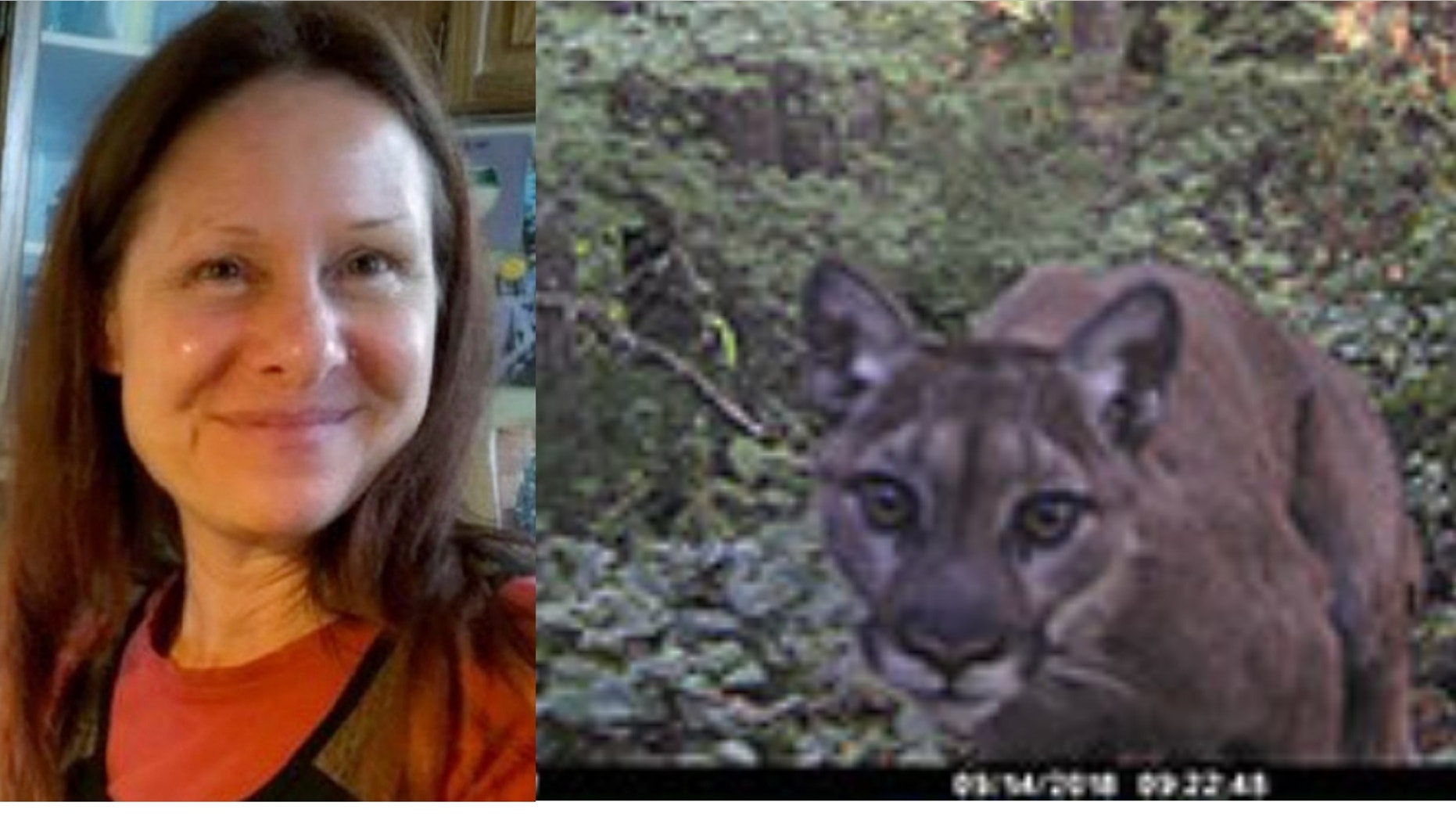 Diana Bober, 55, was killed in a suspected cougar attack in September.
