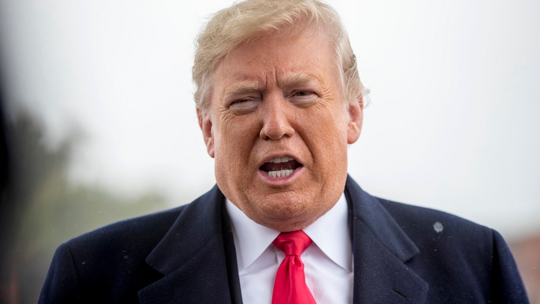 FILE -- President Donald Trump.