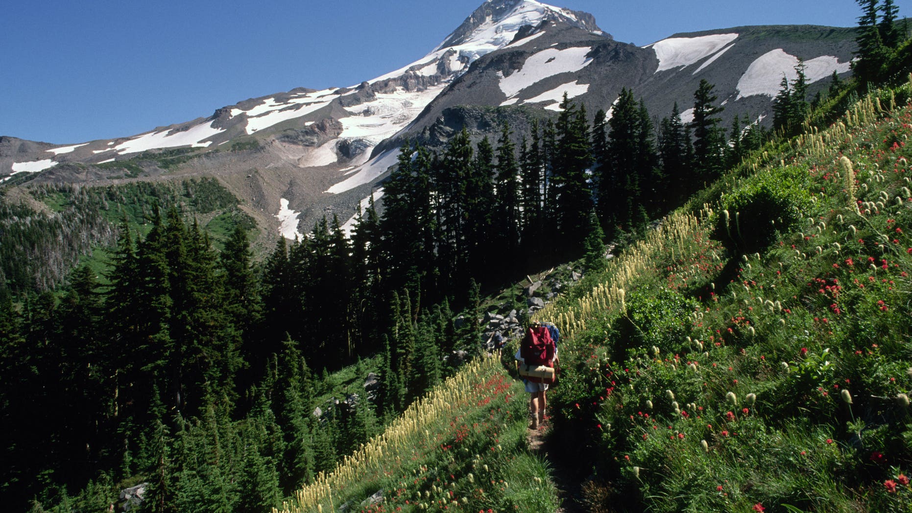 Researchers say active fault lines on Mount Hood could potentially trigger a 7.2 magnitude quake.
