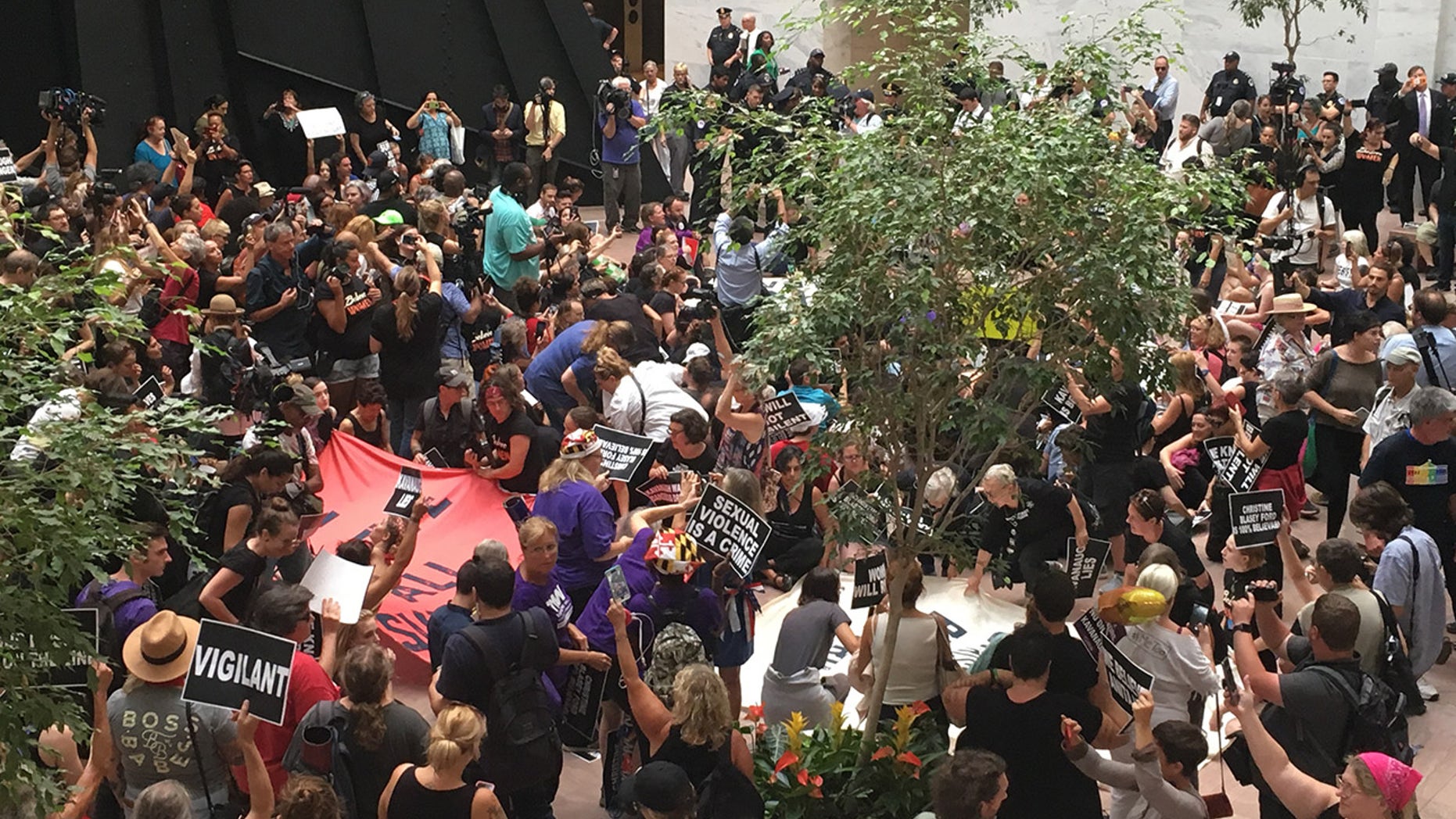Hundreds of protesters demonstrate against Brett Kavanaugh's nomination to the Supreme Court in the Hart Senate Office Building in Washington. (NuNu Japardize/Fox News)