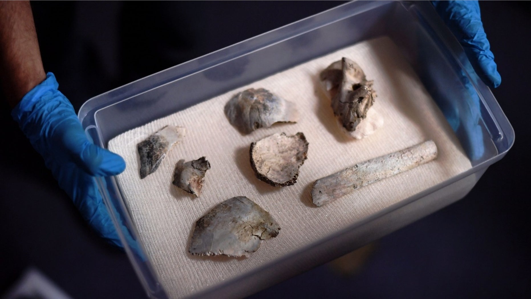 The Luzia fossil was recovered following a massive fire on Sept. 2, 2018.