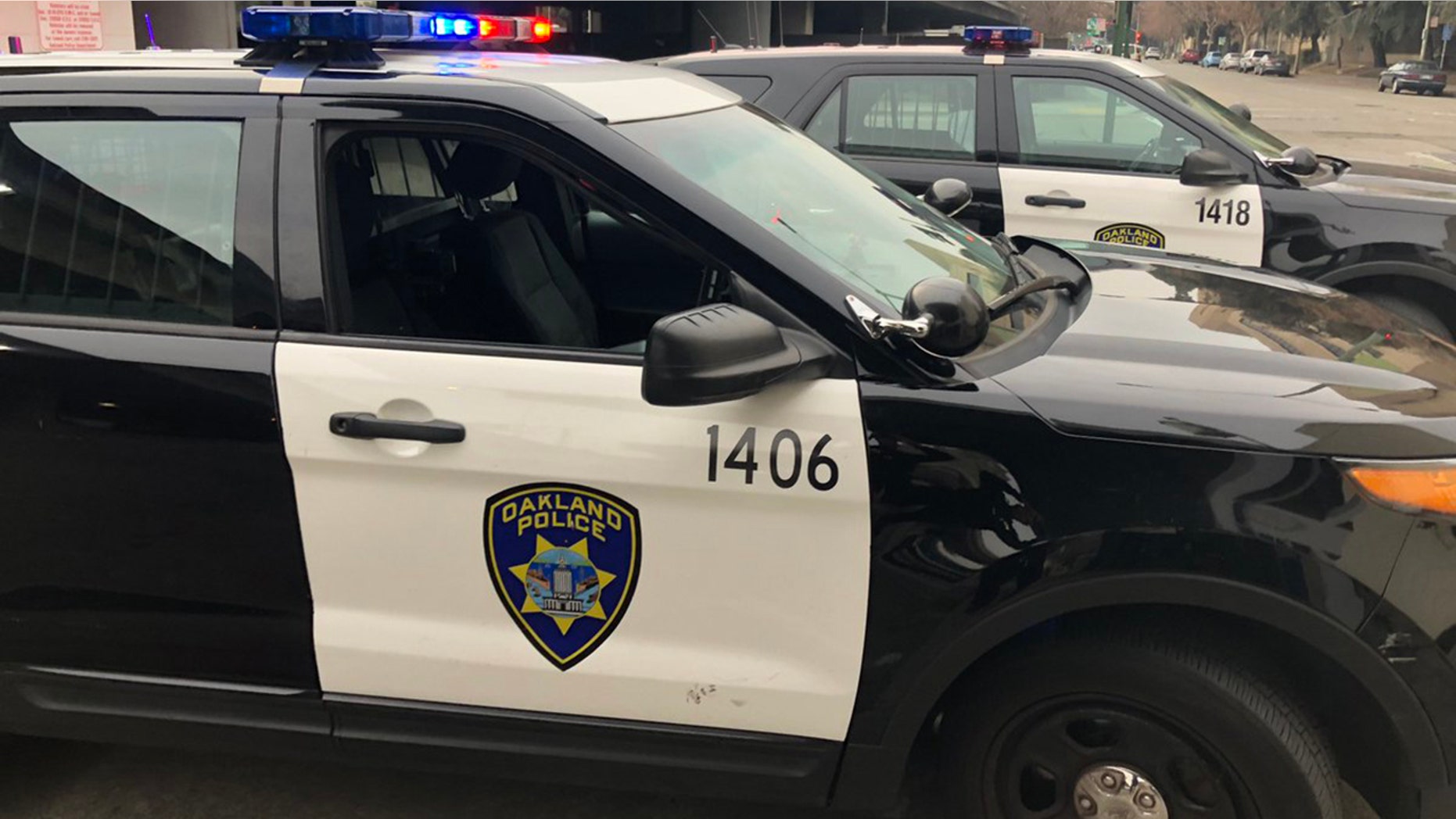 Oakland police said they are investigating whether a human head found in a residential backyard on Friday is related to the discovery of a headless corpse in the area last month.