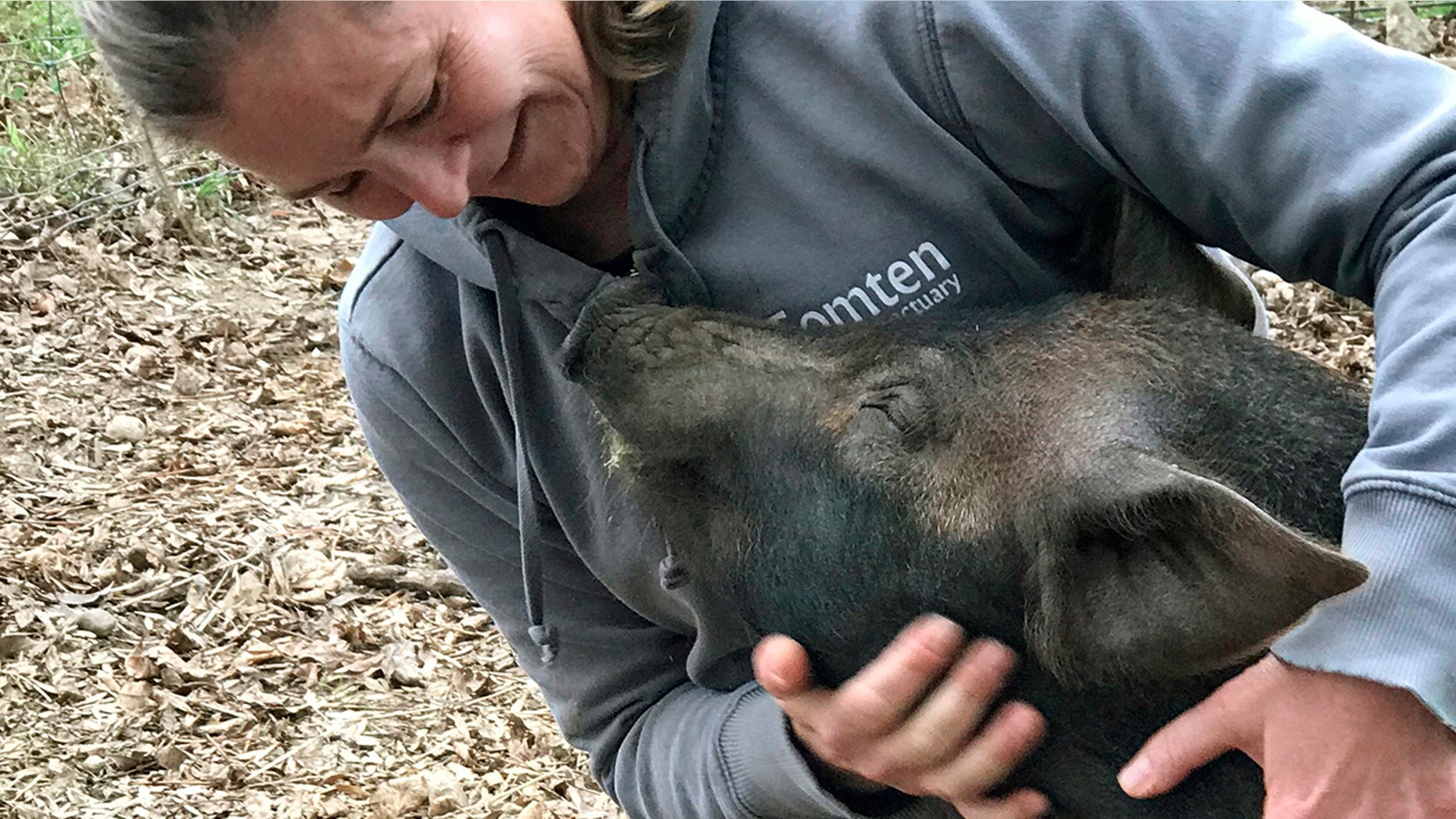 Grover the pig has happier days ahead as he'll no longer be sent to the slaughterhouse.