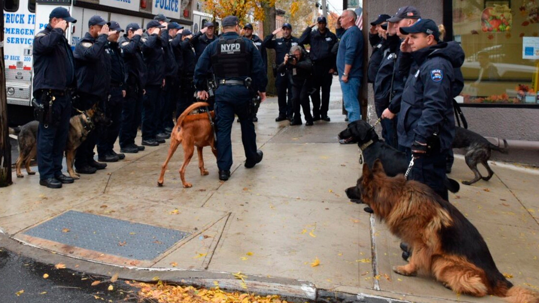 Nypd Salutes K 9 As She Loses Battle With Cancer Fox News 