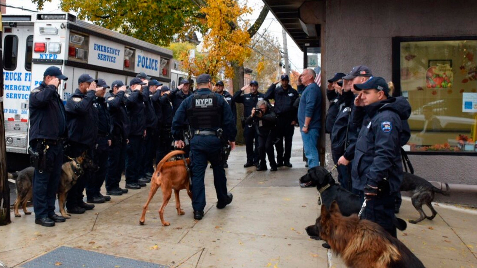 In this Nov. 5, 2018 photo, provided by the New York City Police Department (NYPD) an honor guard of police officers salute as Angel, a 5-year-old bloodhound, is walked by her human partner, Officer Manuel Orellana, into Staten Island's Rosebank Animal Hospital to be euthanized, in New York. An aviation flyover also honored the Emergency Services K-9 just before she died after being diagnosed with cancer in August.