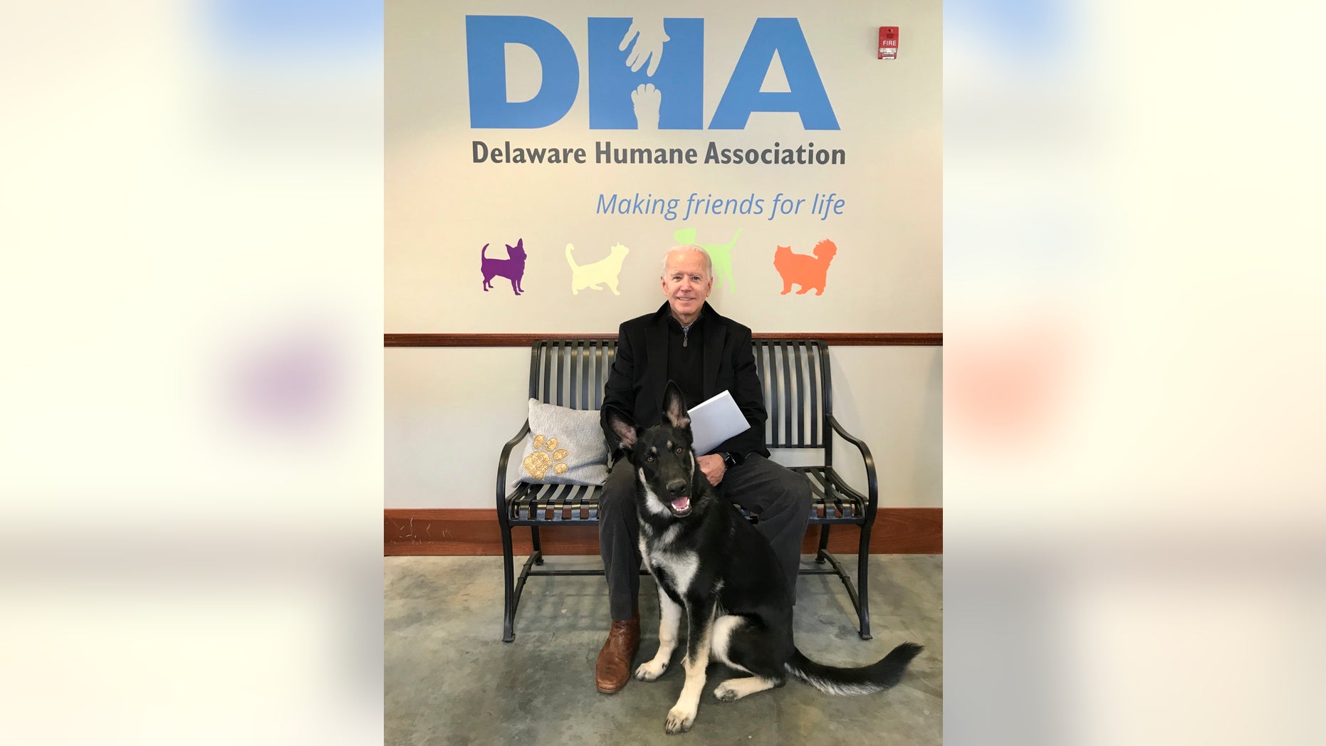 Biden family adopts new pup named Major, Delaware Humane ...
