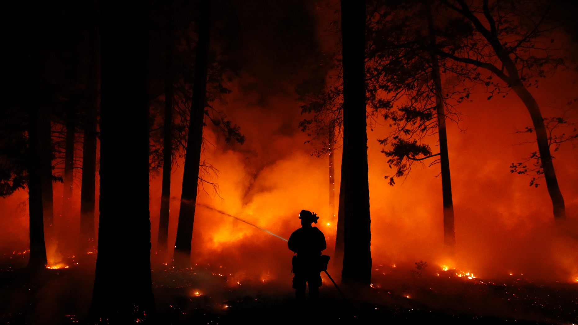 A firefighter sprays water on a controlled burn at a wildfire, Friday, Nov. 9, 2018, in Magalia, Calif. (AP Photo/John Locher)