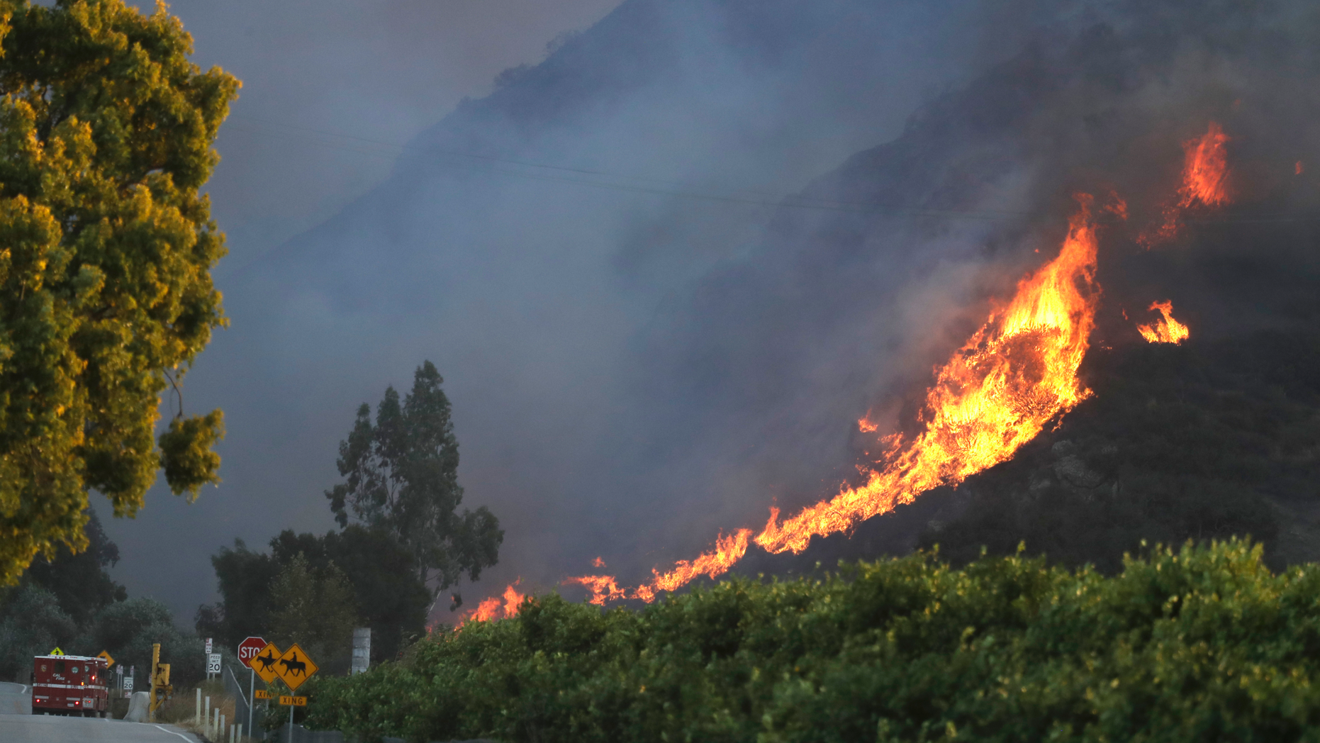 A wildfire comes down from a hilltop Thursday, Nov. 8, 2018, near Newbury Park, Calif. The Ventura County Fire Department has ordered evacuation of some communities in the path of the fire, which erupted a few miles from the site of Wednesday night's deadly mass shooting at a Thousand Oaks bar. (AP Photo/Marcio Jose Sanchez)