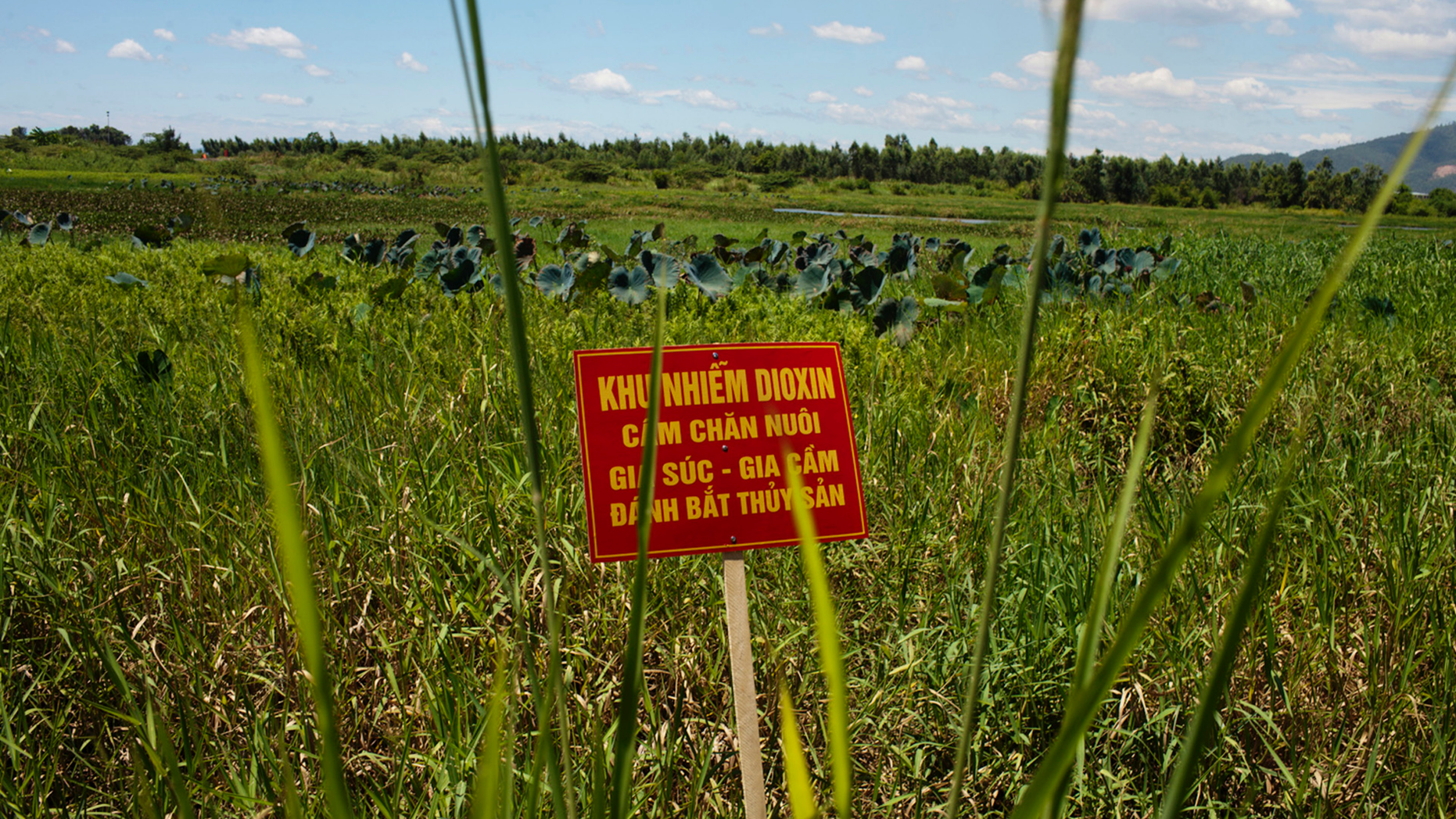 FILE - In this Aug. 9, 2012, file photo, a warning sign stands in a field contaminated with dioxin near Danang airport, during a ceremony marking the start of a project to clean up dioxin left over from the Vietnam War, at a former U.S. military base in Danang, Vietnam. The sign reads; "Dioxin contamination zone - livestock, poultry and fishery operations not permitted." Vietnam and the United States have finished cleaning up dioxin contamination at the airport caused by the transport and storage of the herbicide on and around the area. (AP Photo/Maika Elan, File)