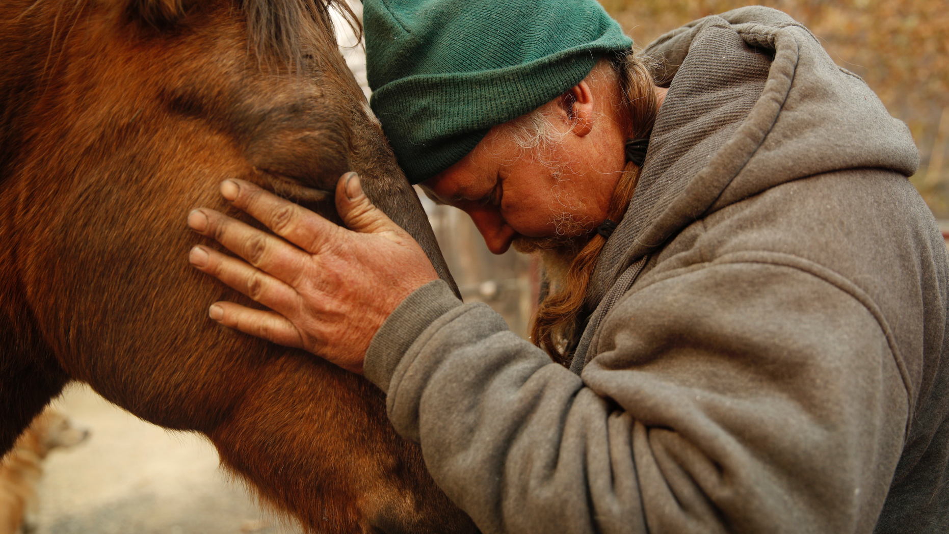 In this Nov. 15, 2018, photo, Troy Miller rubs his horse Sally at his burned out property in Concow, Calif. "I've got a lot of faith in God. I think things will be OK," said Miller. "I have to tell my animals that." A small group of residents who survived the deadly wildfire are defying evacuation orders and living in the burn zone. (AP Photo/John Locher)