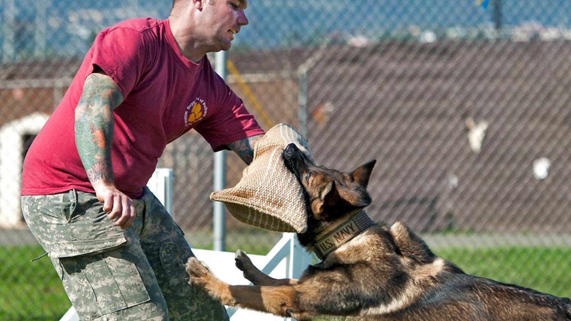 Master Sgt. Nicholas Vollweiler, 35, was found with stab wounds at his off-base residence in Western Tokyo on Friday and later died at a hospital.