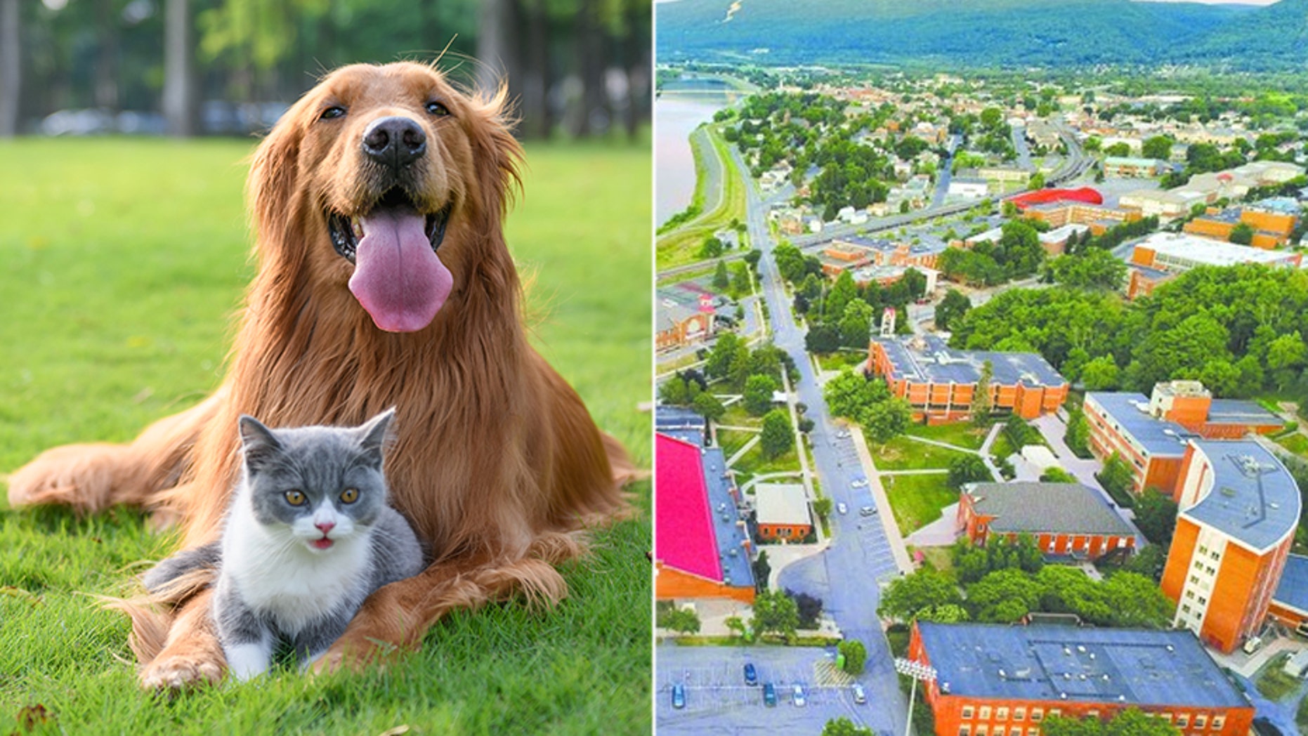 “Studies show that students who feel at home on campus are the students that thrive both socially and academically,” Borst said.