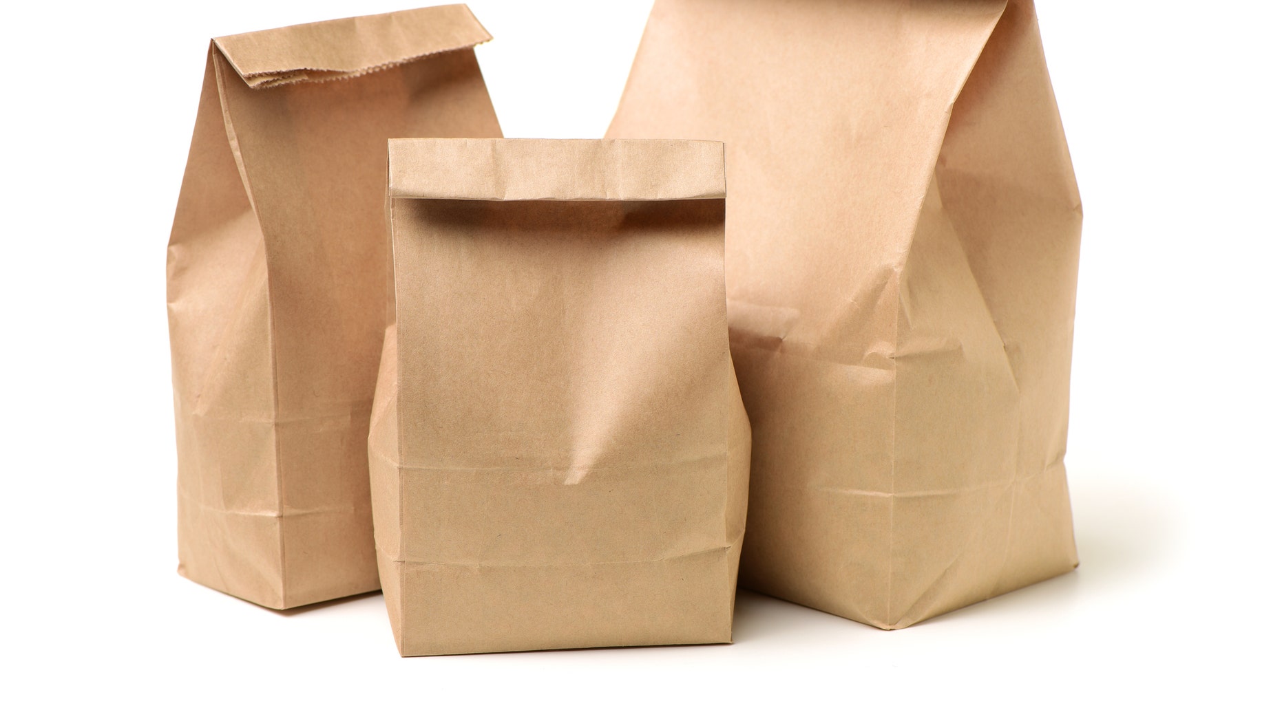 sack lunch bags