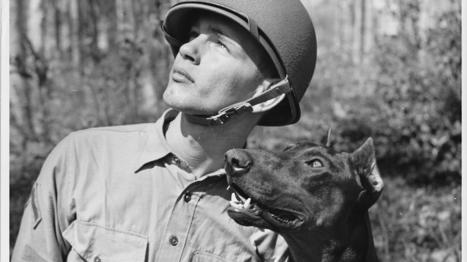 Battle Of The Year Stream German Battle Of The Year Stream German