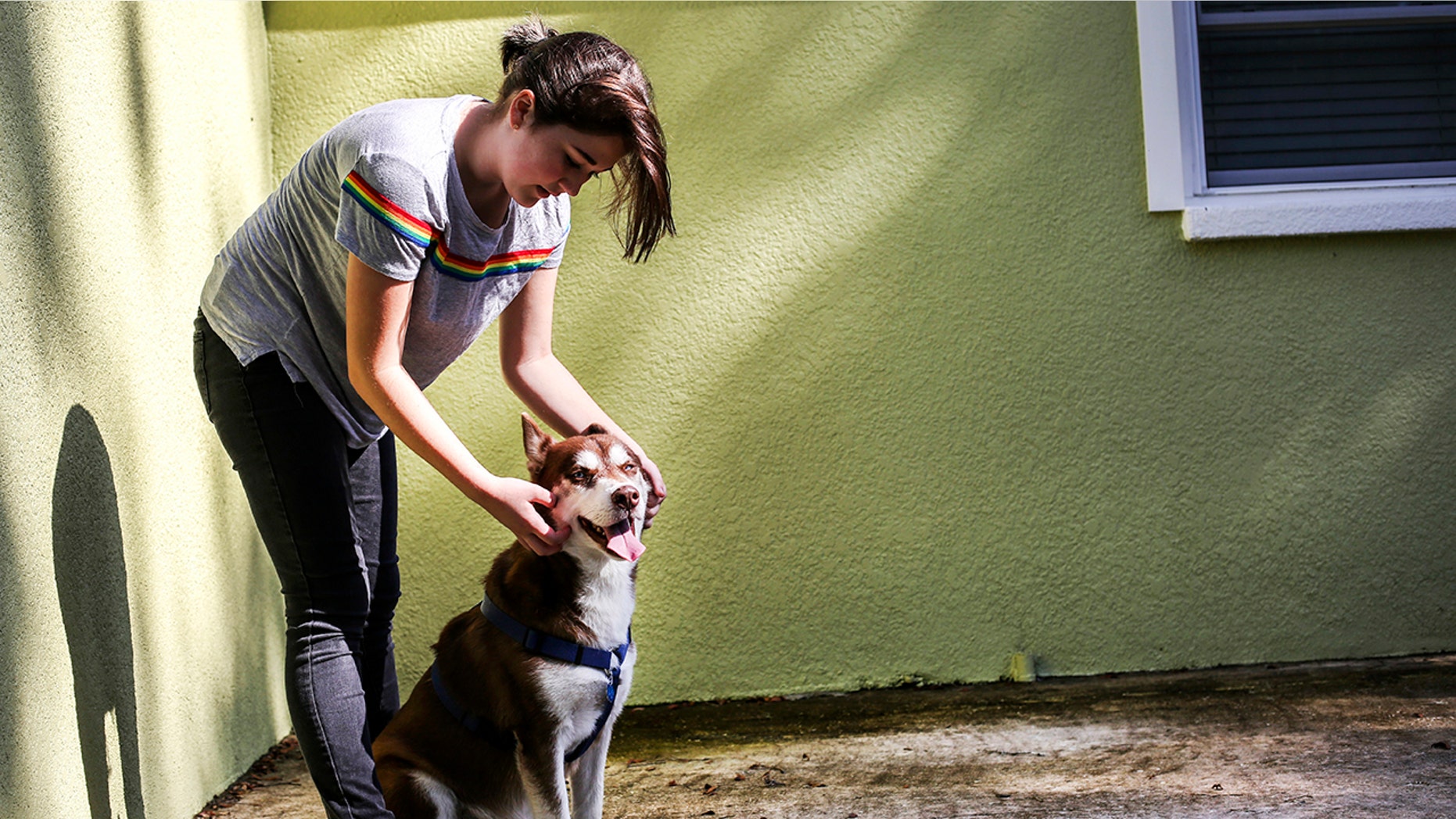 Rose Verrill, 13, rubs the head of a Husky named Sinatra at her home in Seffner, Fla. (Bronte Wittpenn/Tampa Bay Times via AP)