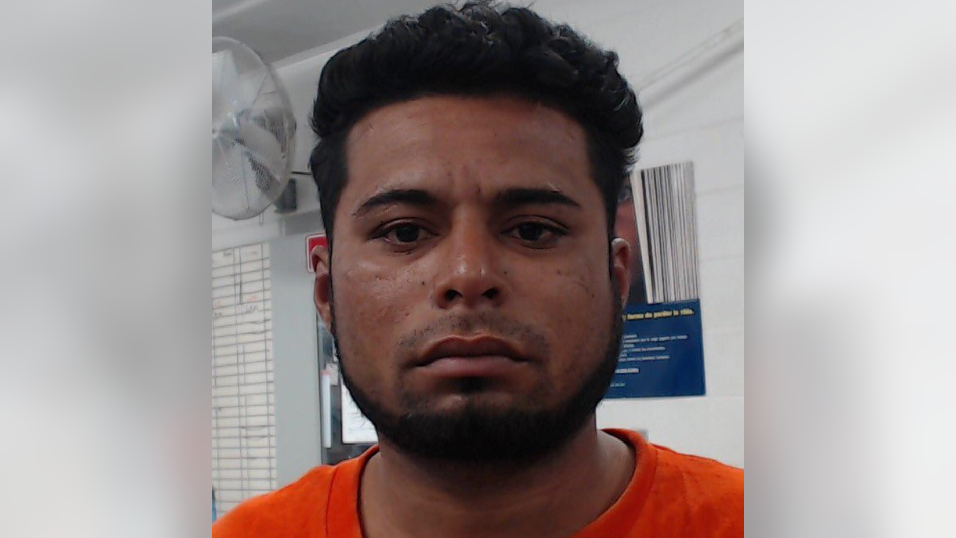 Alan Suazo-Gomez, 31, of Honduras, was arrested Friday after allegedly lighting a tree on fire and throwing rocks toward Customs and Border Protection agents.