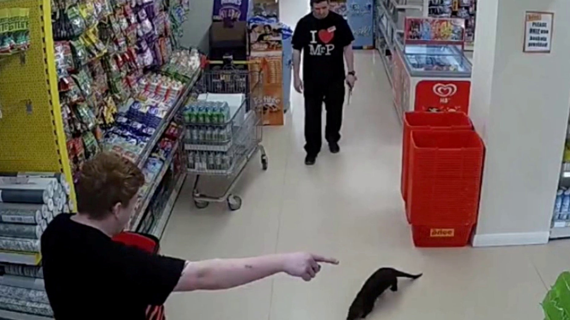 Staff at the market tried to corner the visitor, but it kept running away through the aisles.