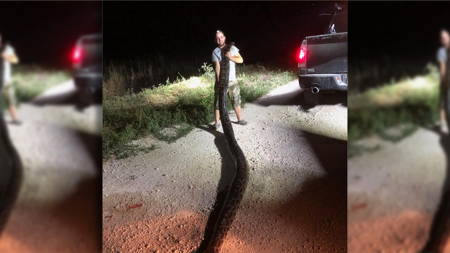 The python weighed 120 pounds, according to the agency.
