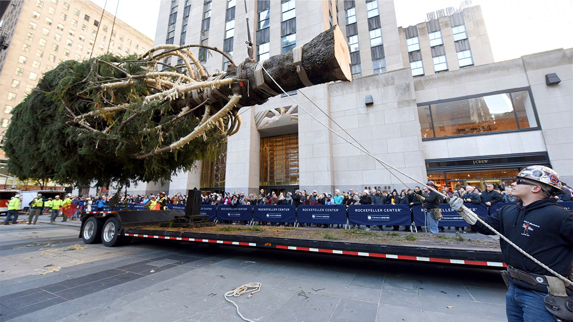 Workers prepare to raise the 2018 Rockefeller Center Christmas tree, a 72-foot tall, 12-ton Norway Spruce from Wallkill, New York, on Saturday. The 86th Rockefeller Center Christmas Tree Lighting ceremony will take place on Wednesday, Nov. 28. (Diane Bondareff/AP Images for Tishman Speyer)