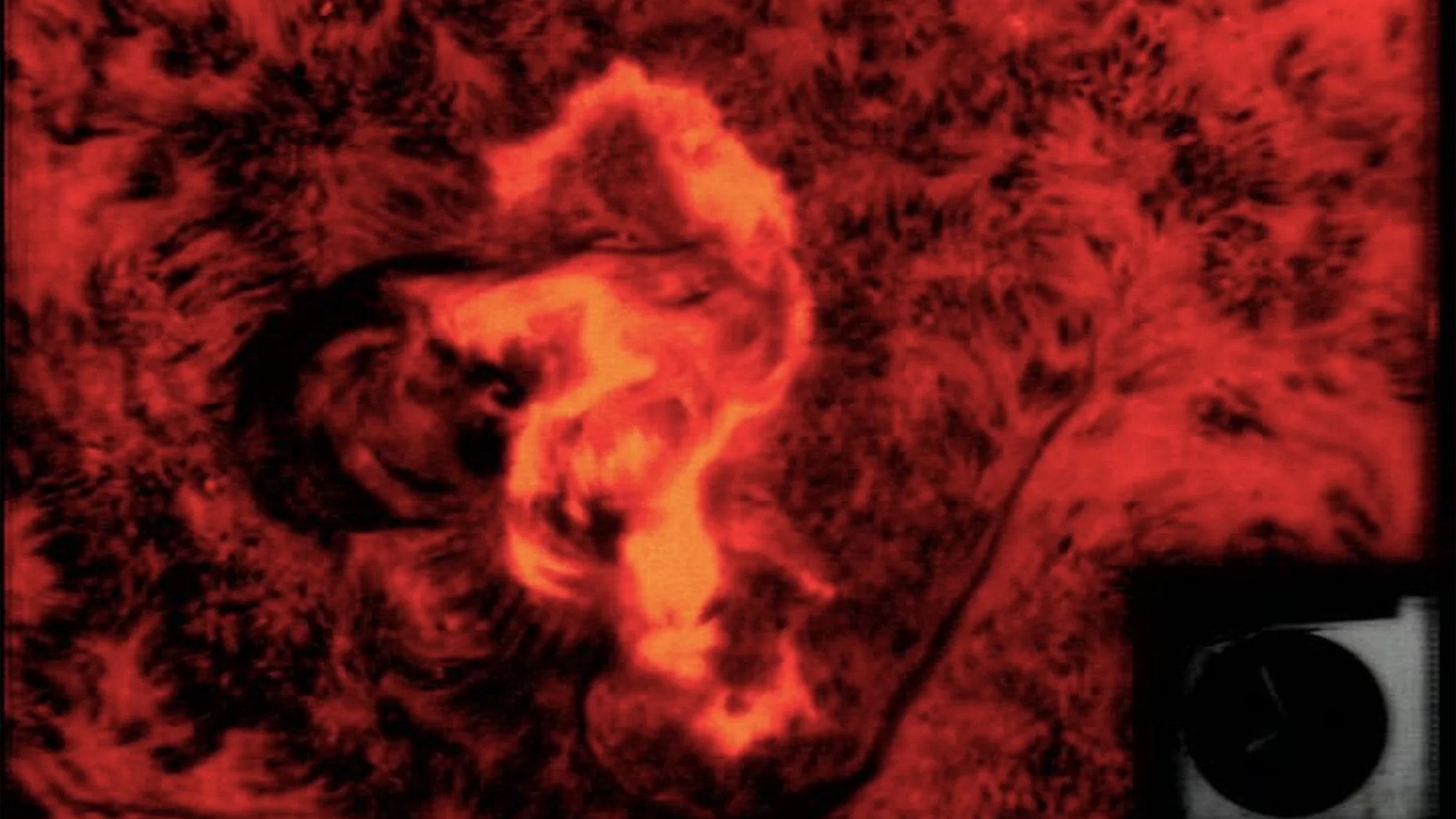 This so-called seahorse flare shot up on the disk of the sun on Aug. 7, 1972, LiveScience notes. The radiation from it would've been harmful to astronauts if a moon mission had been in progress. (Credit: NASA)