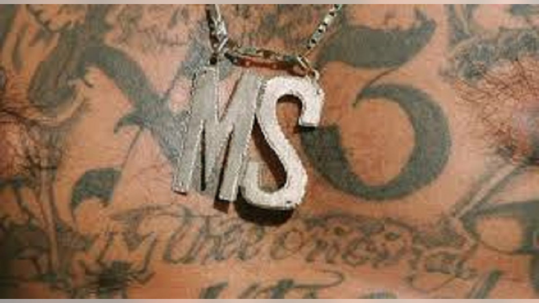 Two MS-13 gang members were arrested Wednesday for murdering a Houston teen on Dec. 16.