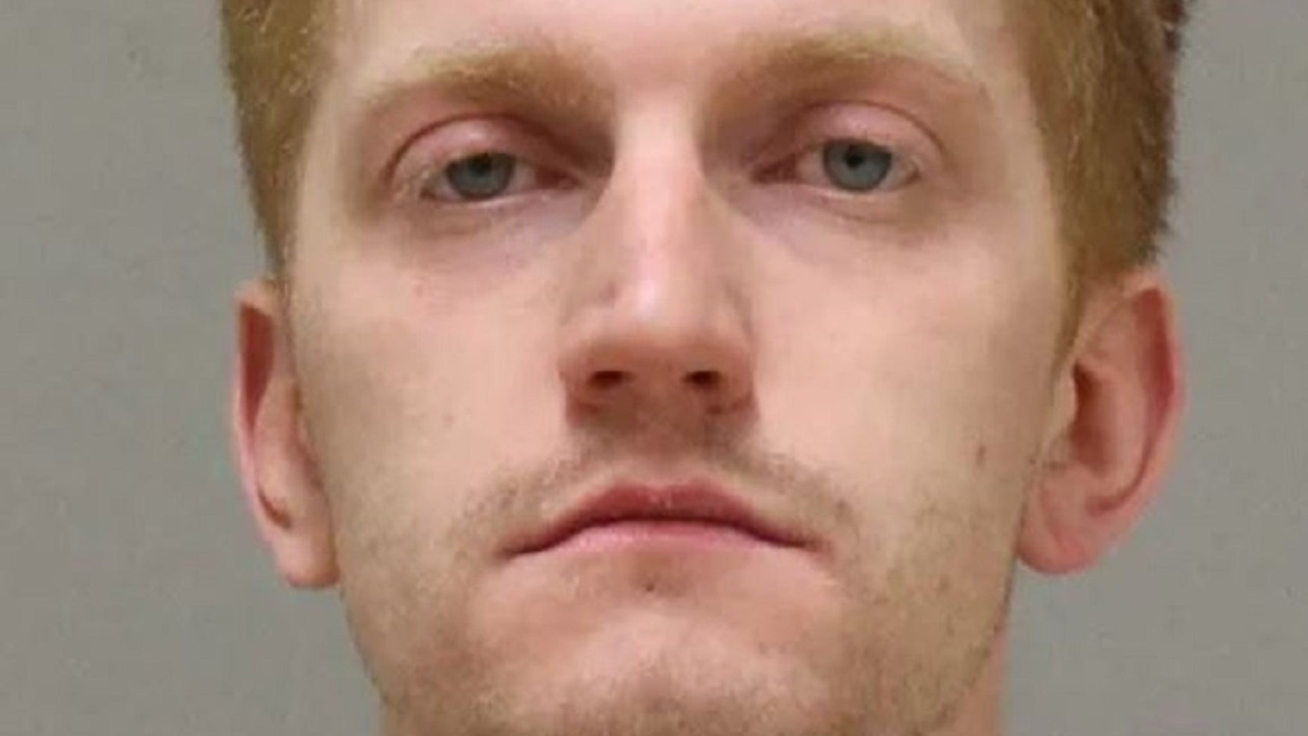 A man has been charged in the dismemberment of a woman in his apartment in western Michigan.