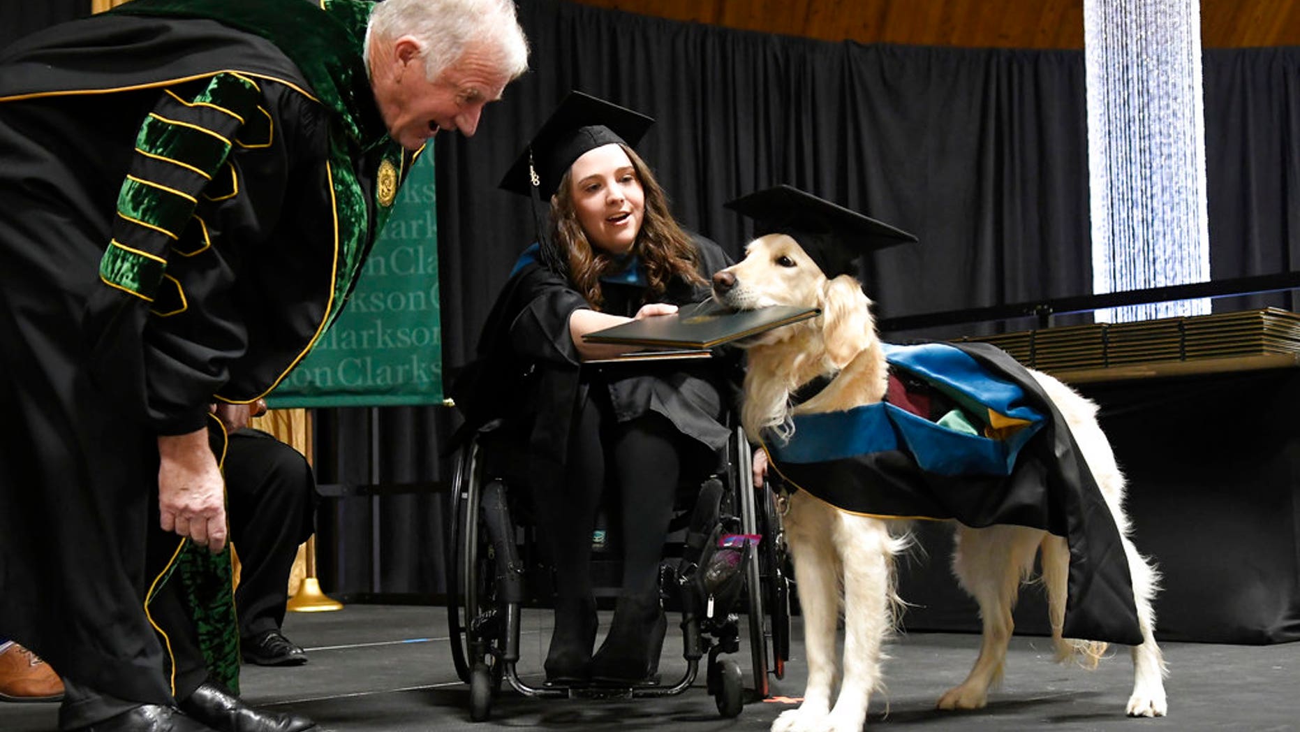 "Griffin," a 4-year-old service dog to Brittany Hawley, was presented with an honorary degree Saturday at Clarkson University as his handler received a master's degree in occupational therapy.
