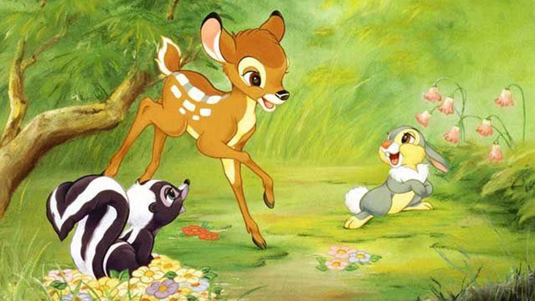 A Missouri hunter involved in the illegal killing of “several hundred deer” over the years must watch the Disney classic “Bambi” once a month while he remains behind bars