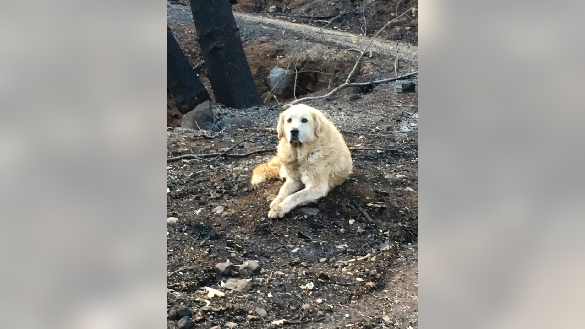 This photo from Friday, December 7, 2018 provided Shayla Sullivan shows.