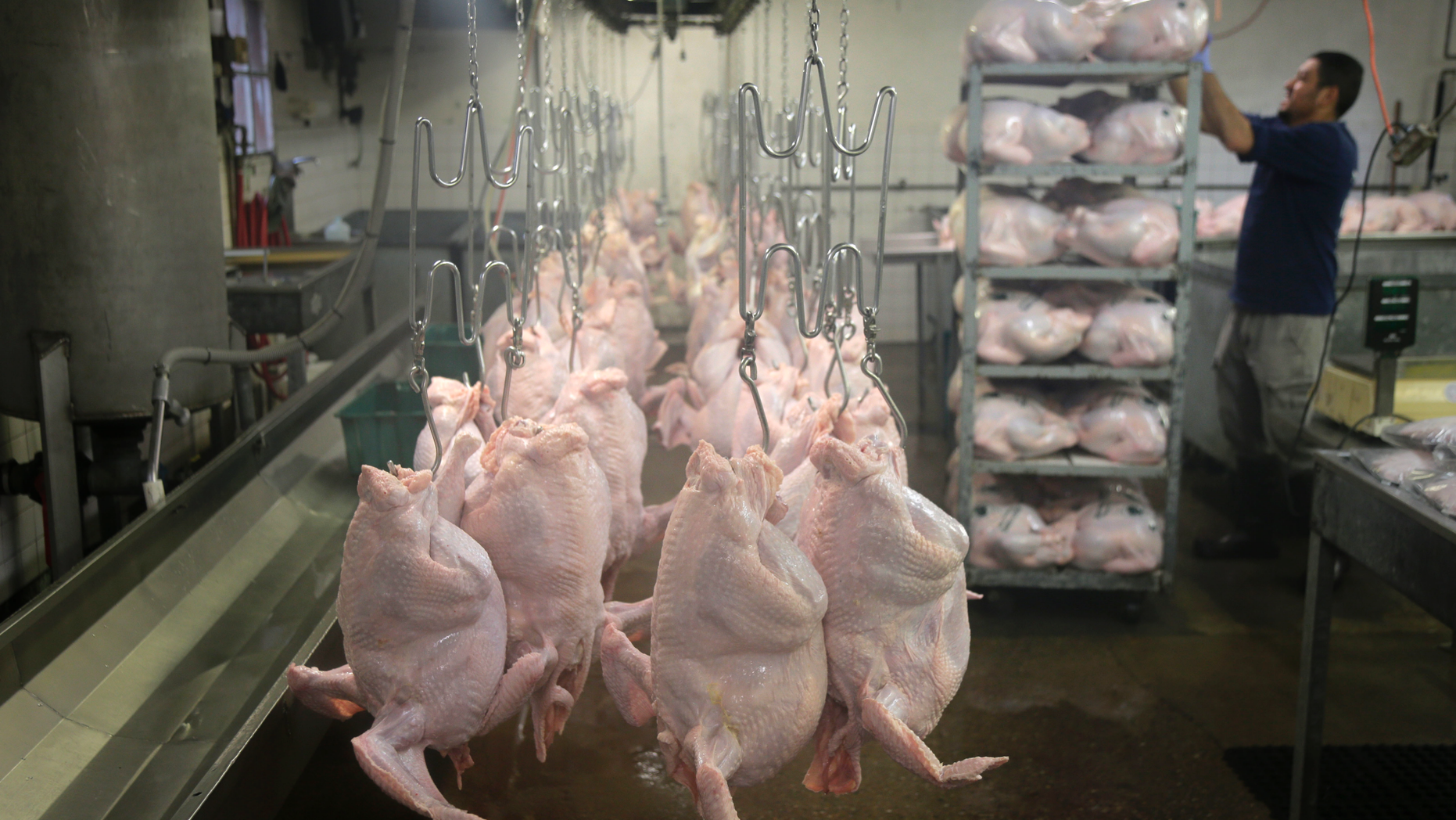 FILE- In this Nov. 13, 2018, file photo fresh turkeys are ready to be packaged at Ashley Farms in Flanders, N.J. On Tuesday, Dec. 12, the Labor Department reports on U.S. producer price inflation in November. (AP Photo/Seth Wenig, File)