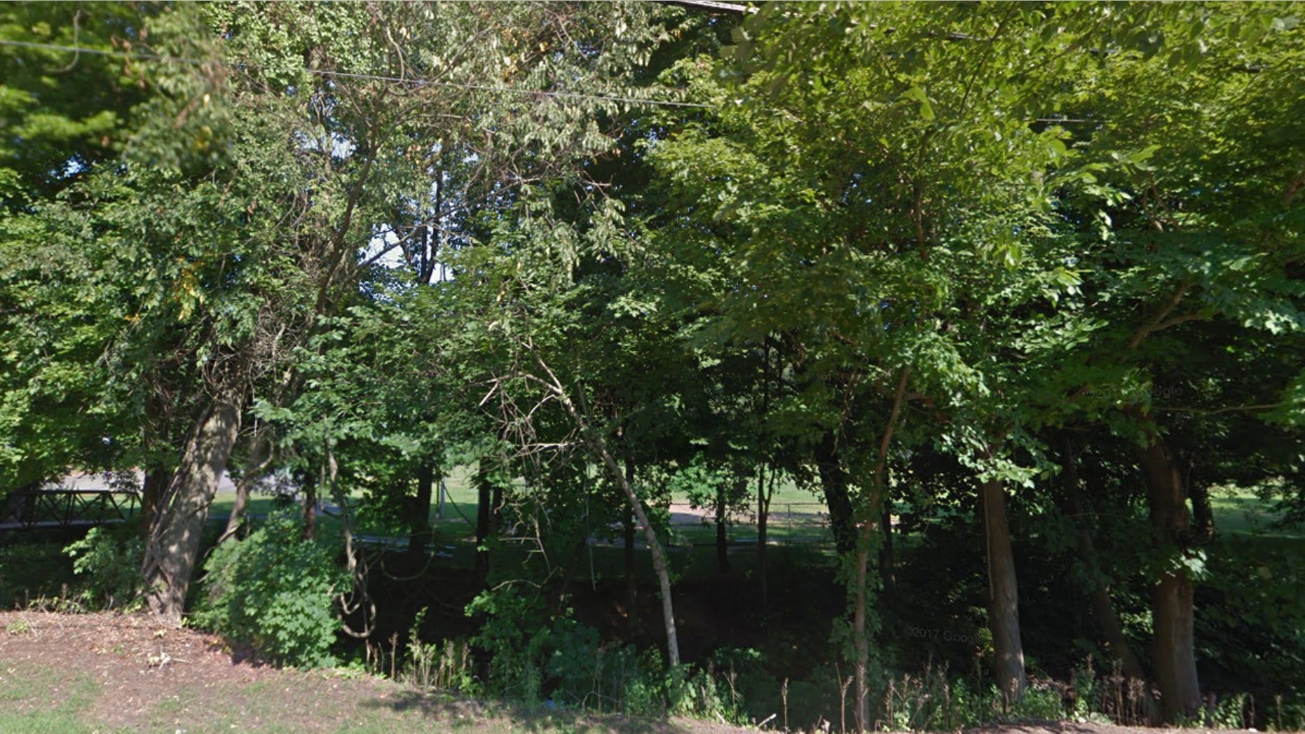 A view of the park where the shooting took place.